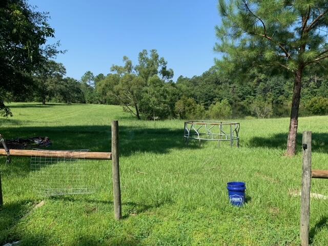 ESCAMBIA FARMS - Land
