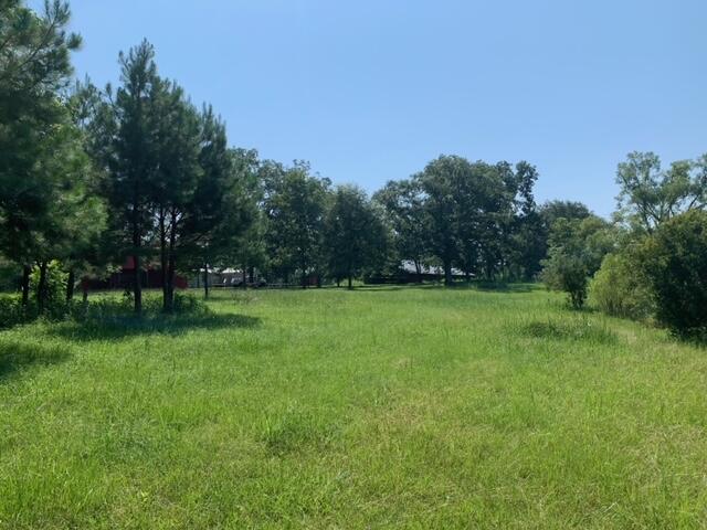 ESCAMBIA FARMS - Land