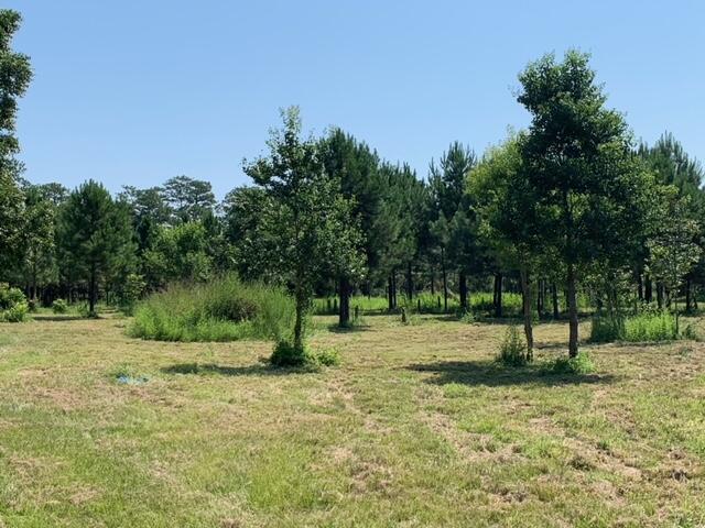 ESCAMBIA FARMS - Land