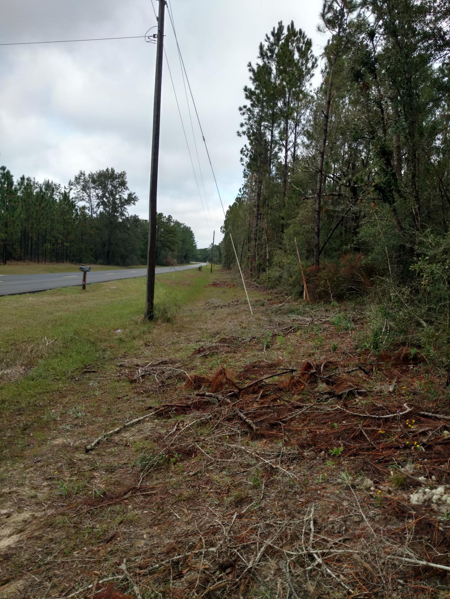 Nice quite area. Lots of wildlife, deer, and turkey.
Planted pine trees. Not to far from Ponce De Leon Springs State Park and Walon Counties Morrison Springs.