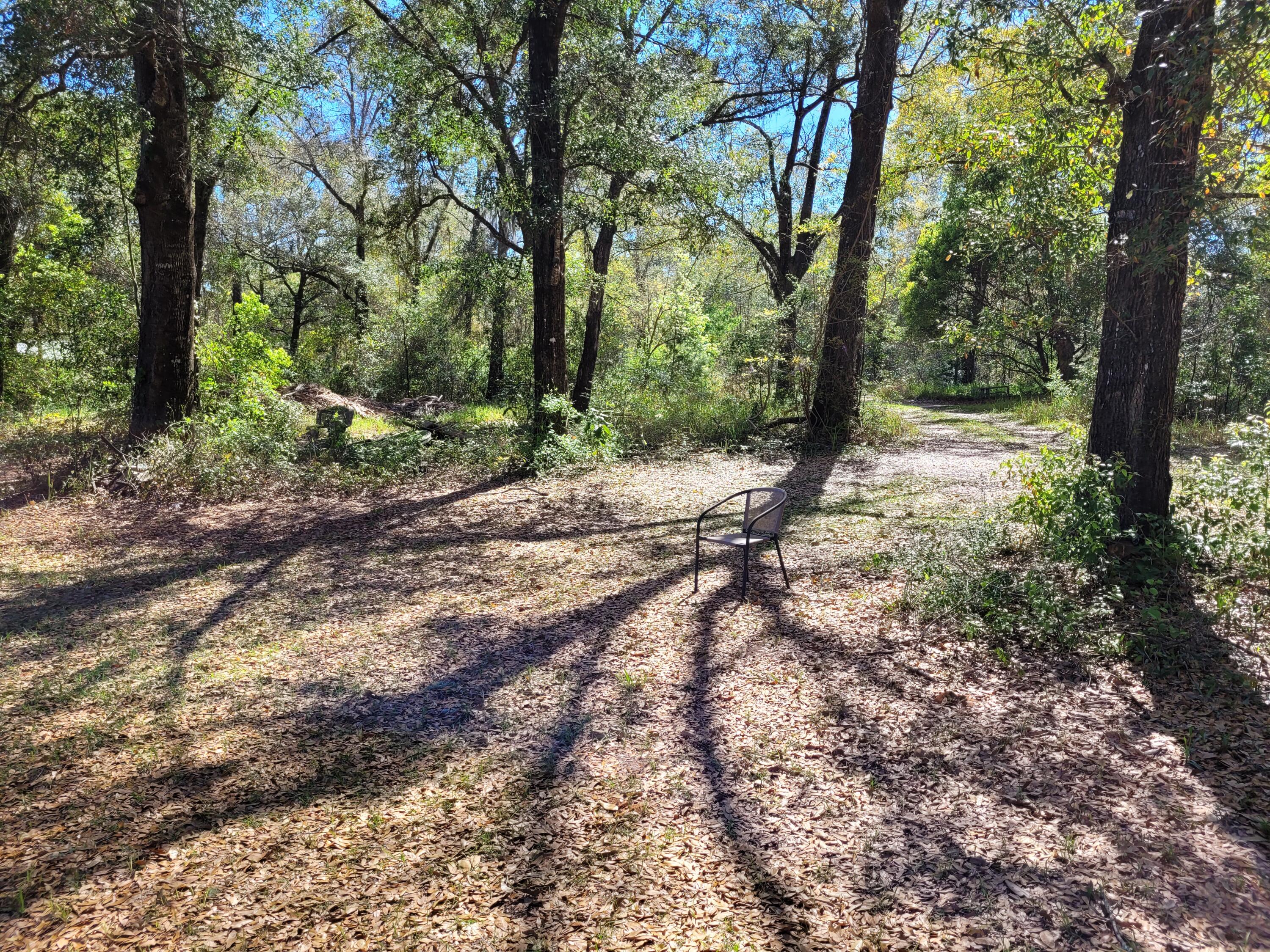 NO  SUBDIVISION - Land