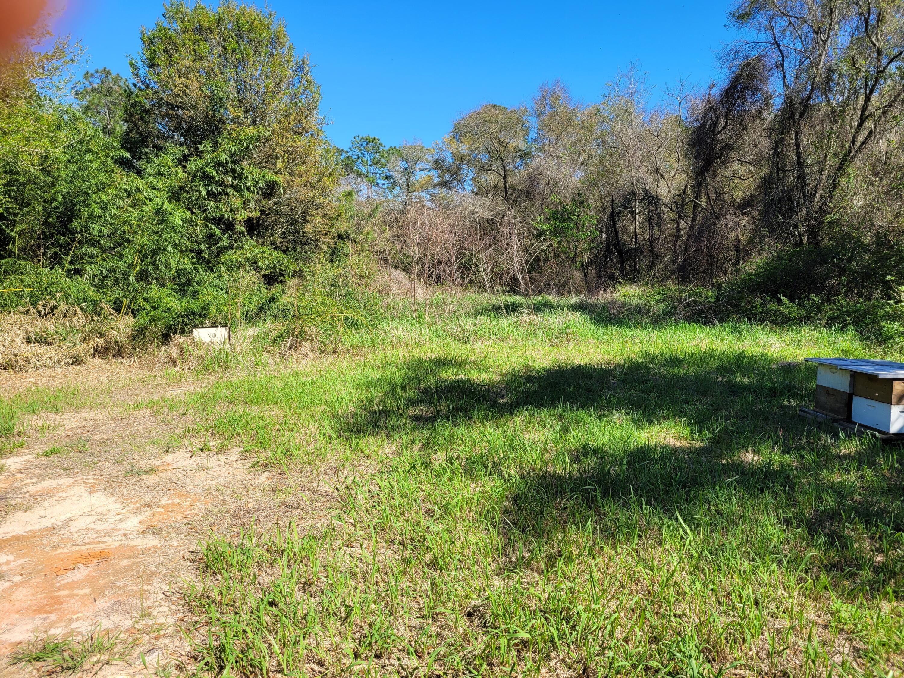 NO  SUBDIVISION - Land
