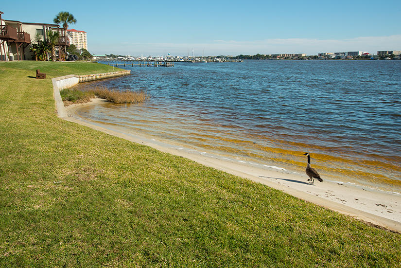 FOUNTAINHEAD CONDO - Residential Lease