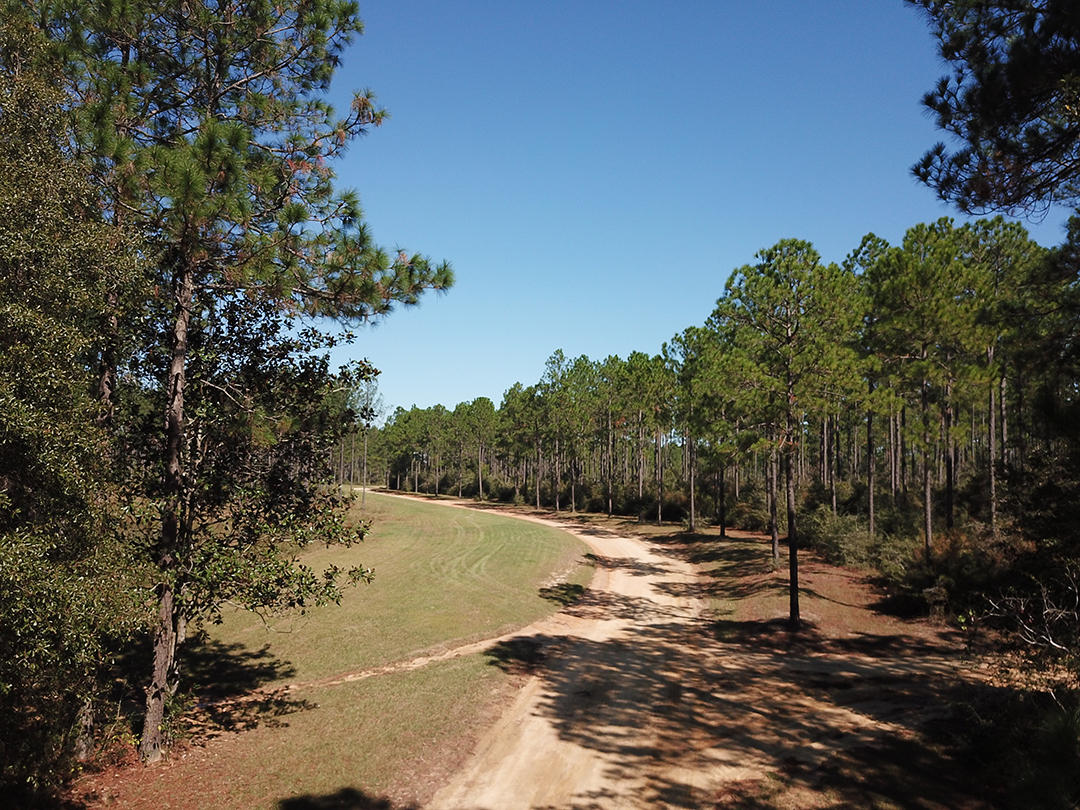 WALTON PLANTATION - Land