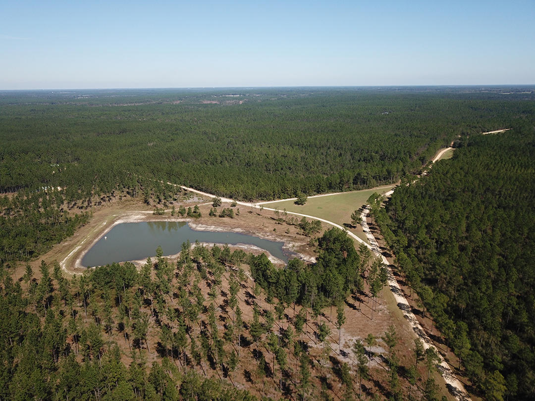 WALTON PLANTATION - Land