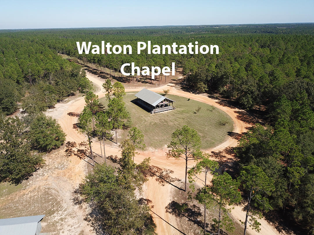 WALTON PLANTATION - Land
