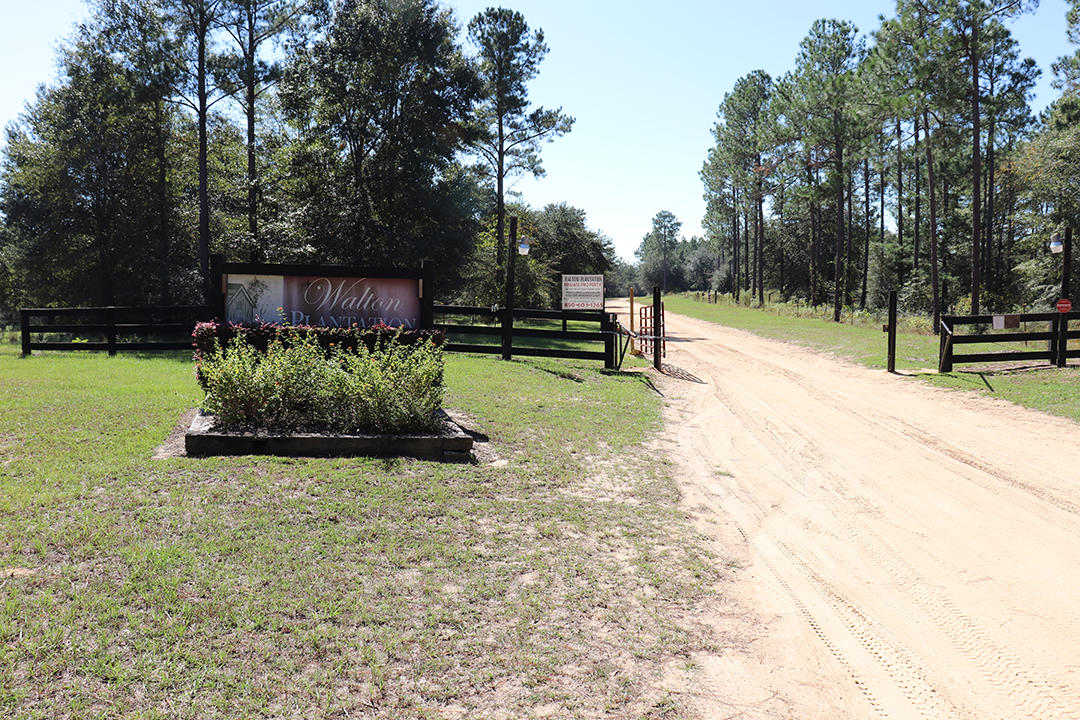 WALTON PLANTATION - Land
