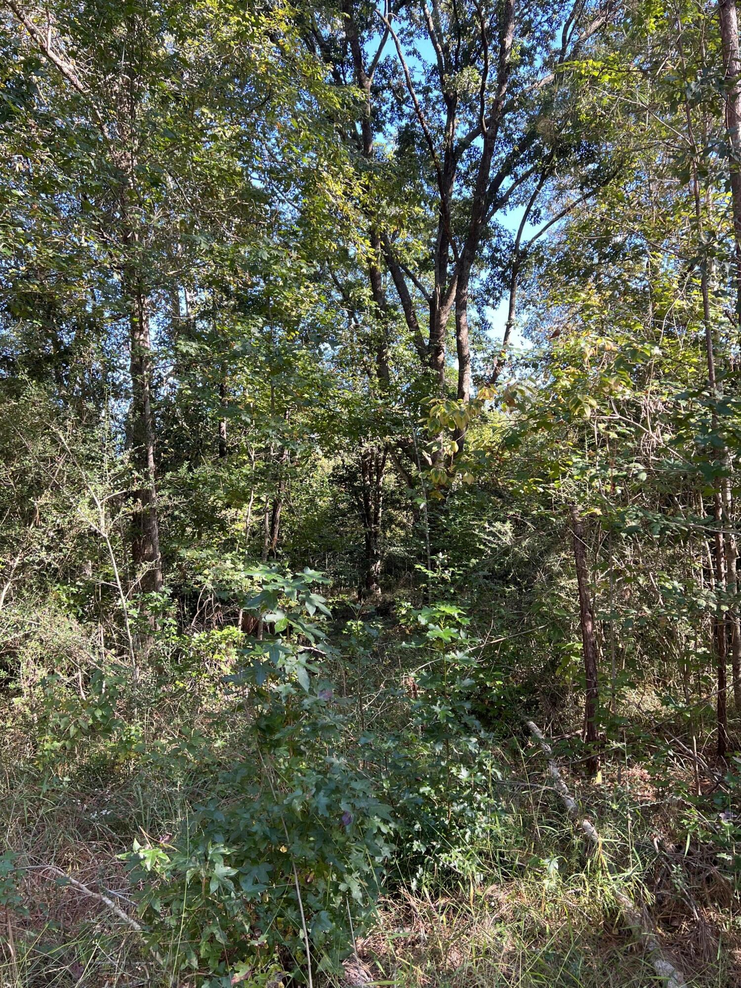 none - Land