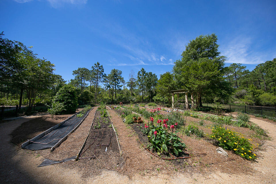 ONE WATER PLACE AT KELLY PLANTATION - Residential Lease