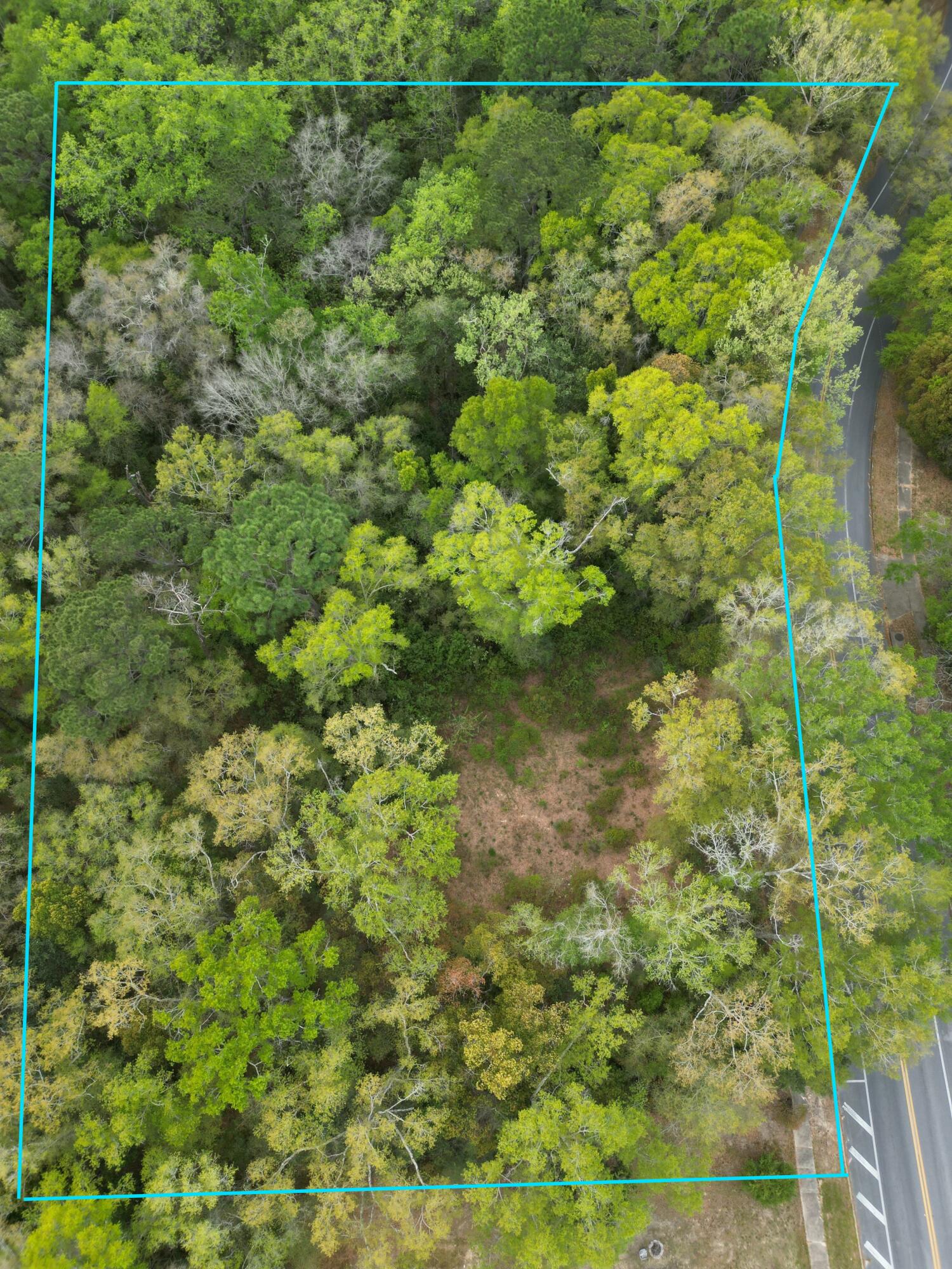Build your dream home in the heart of Defuniak Springs on this oversized .82 acre homesite. This lot boasts space, privacy, and convenience, as it is just 3/4 mile to the historic downtown with restaurants and shops and approximately  .5 mile from Circle Drive - Lake Defuniak.
City water and sewer is available at street and power utilities. Ready to build your new home.