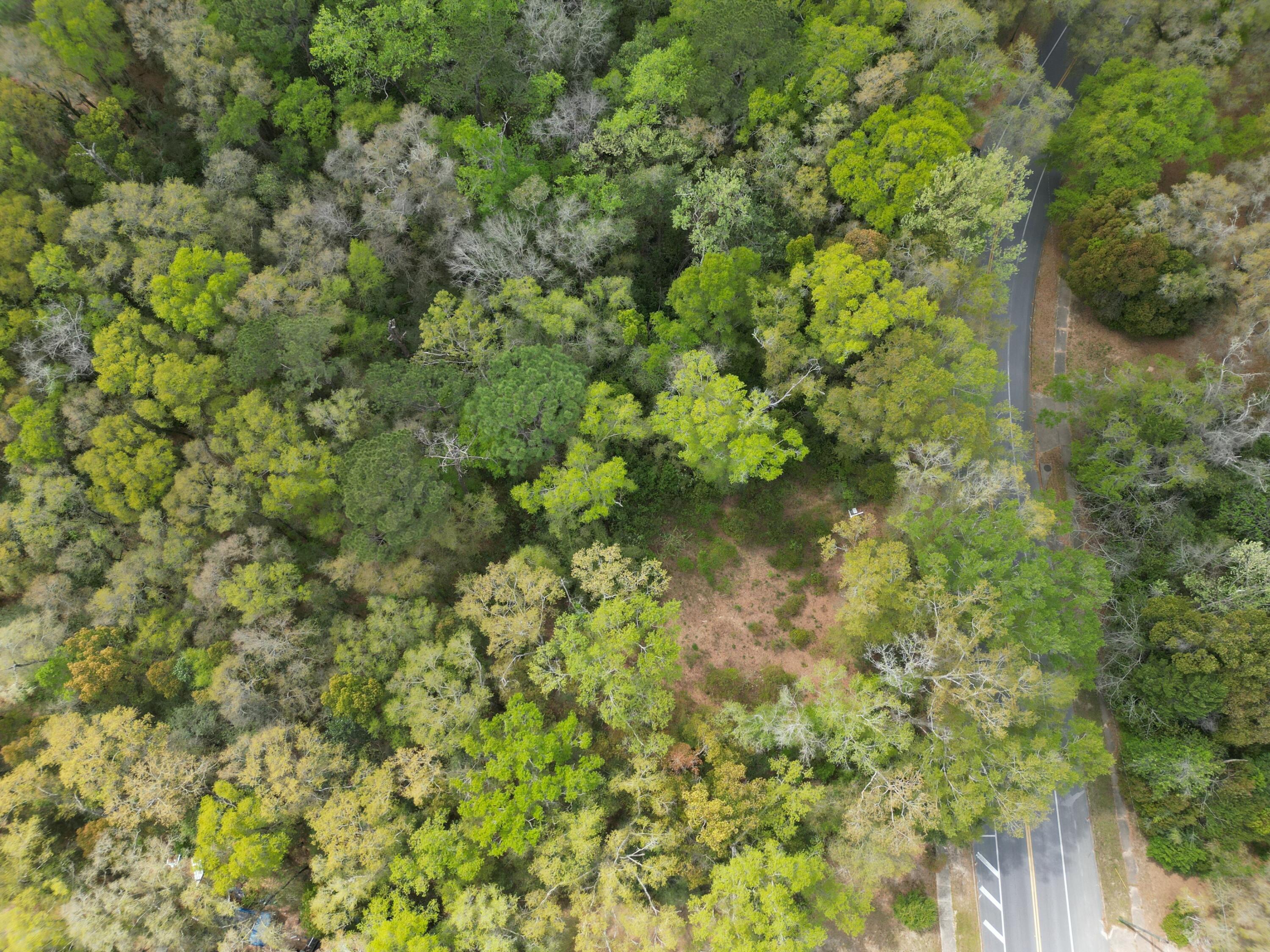 TOWN OF DEFUNIAK SPRINGS - Land