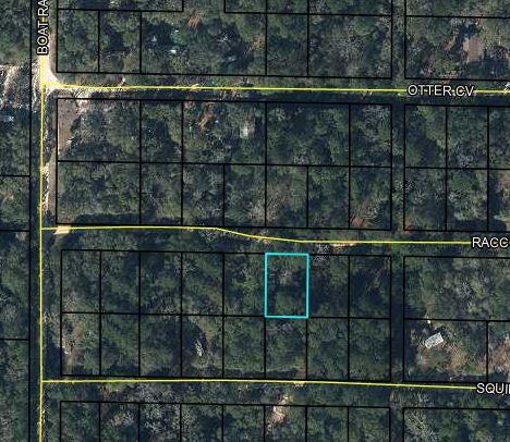 Wooded lot, great getaway spot for a temporary RV site.  Walking distance to Choctawhatchee River.  Lot not big enough for septic tank, no sewer available.  Zoned Agriculture in Holmes County.  Owner is a Florida licensed real estate broker.