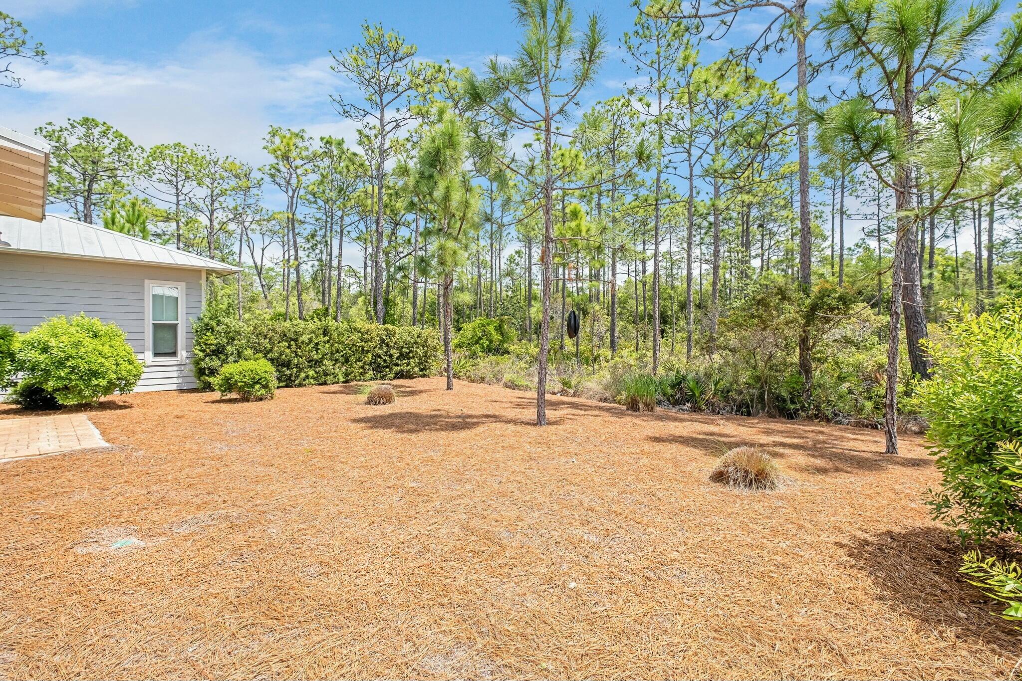 Naturewalk at Seagrove - Residential