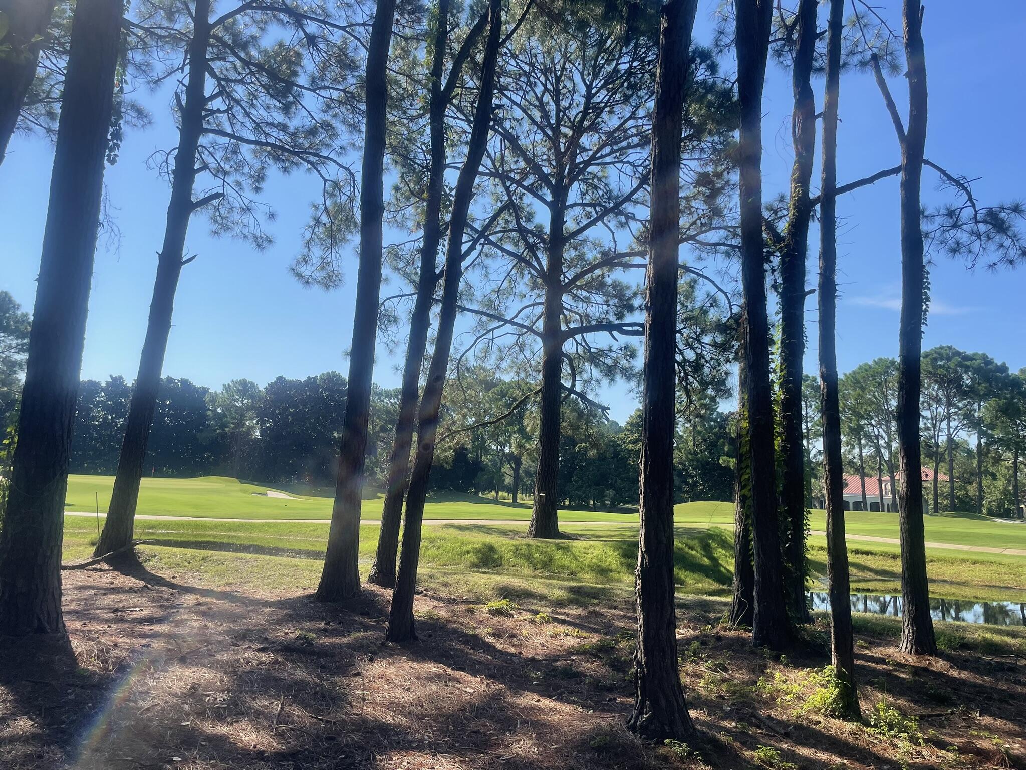 BURNT PINE - Land