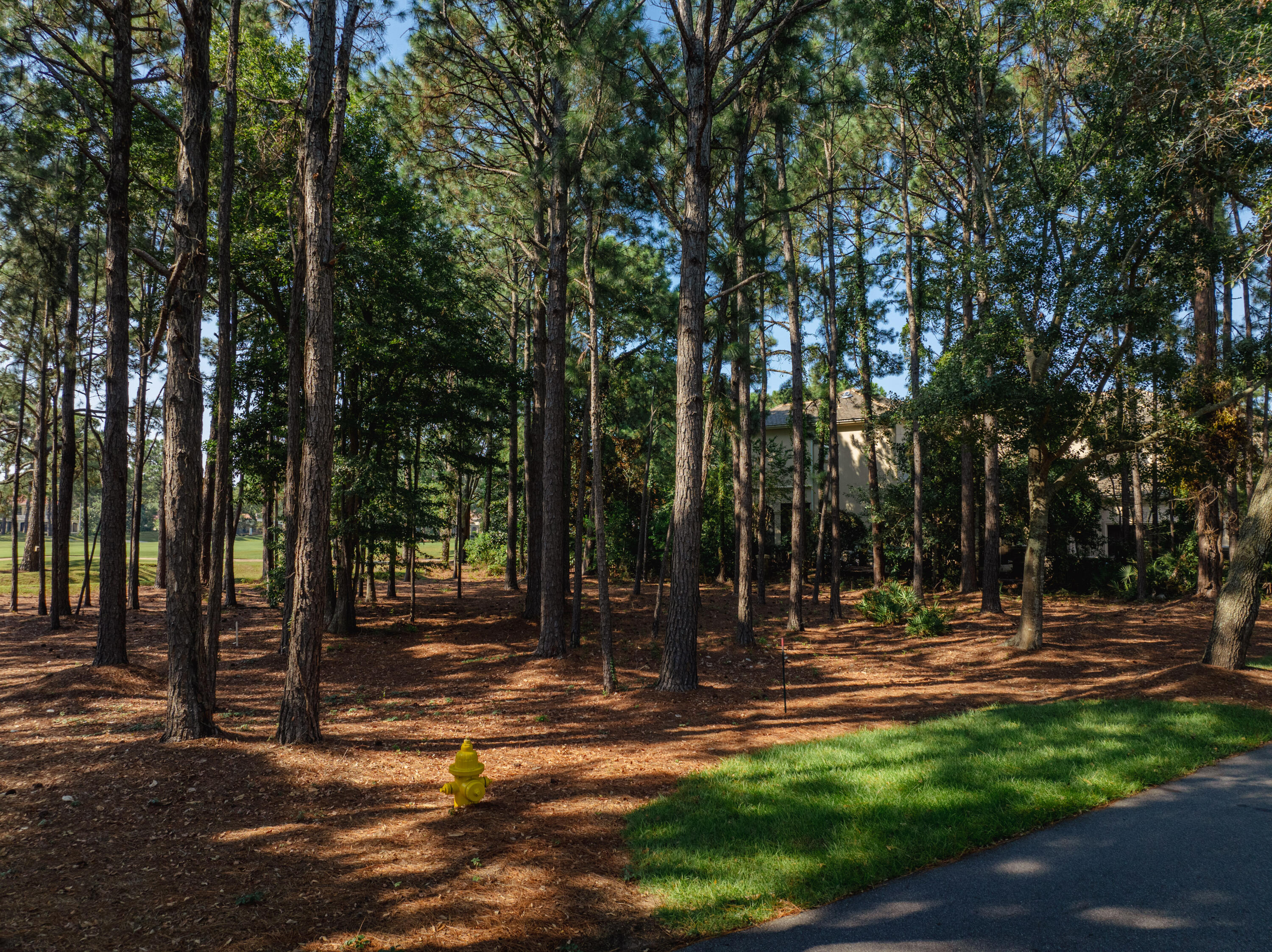 BURNT PINE - Land