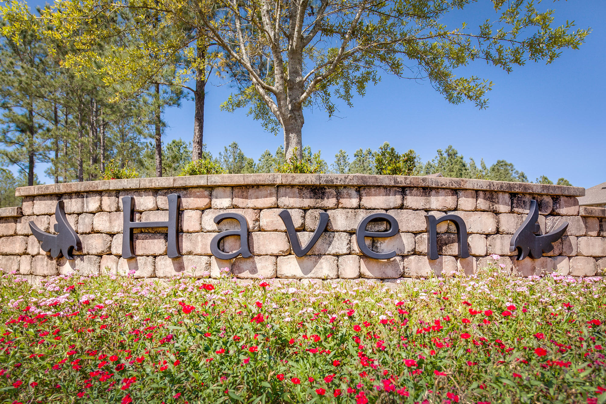 HAMMOCK BAY - Land
