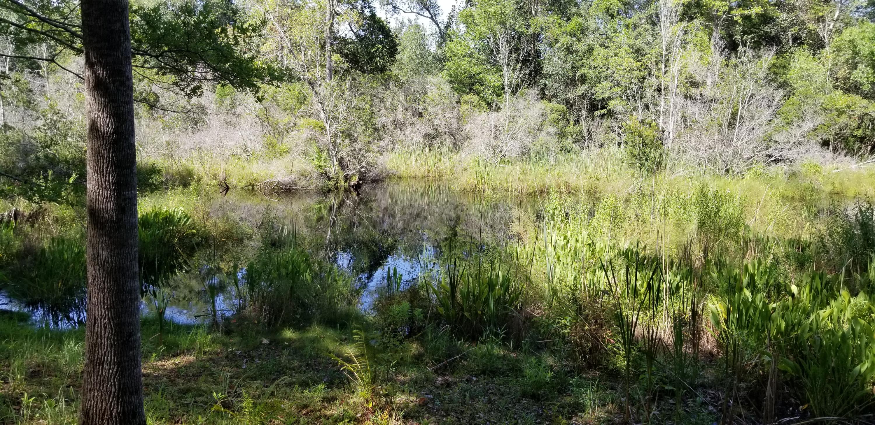WATERVIEW COVE - Land