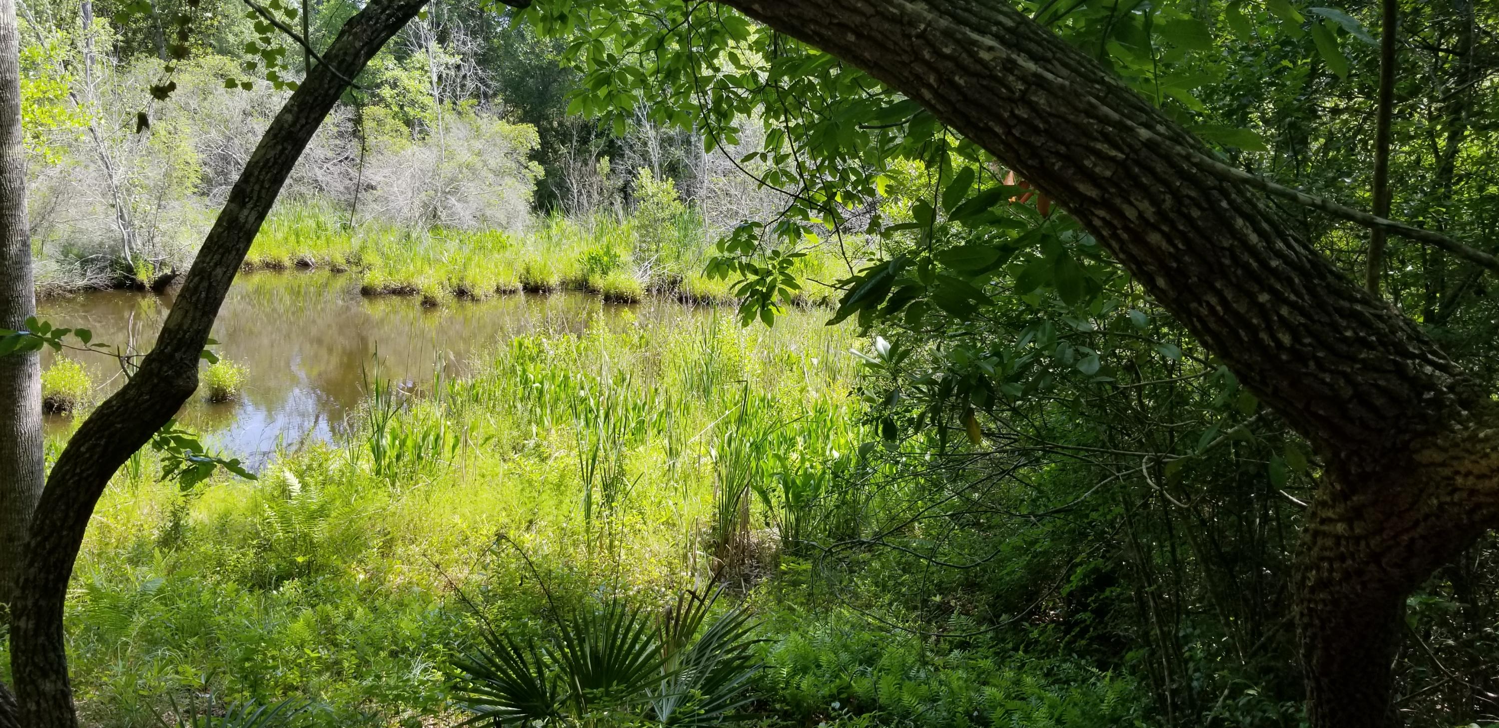 WATERVIEW COVE - Land