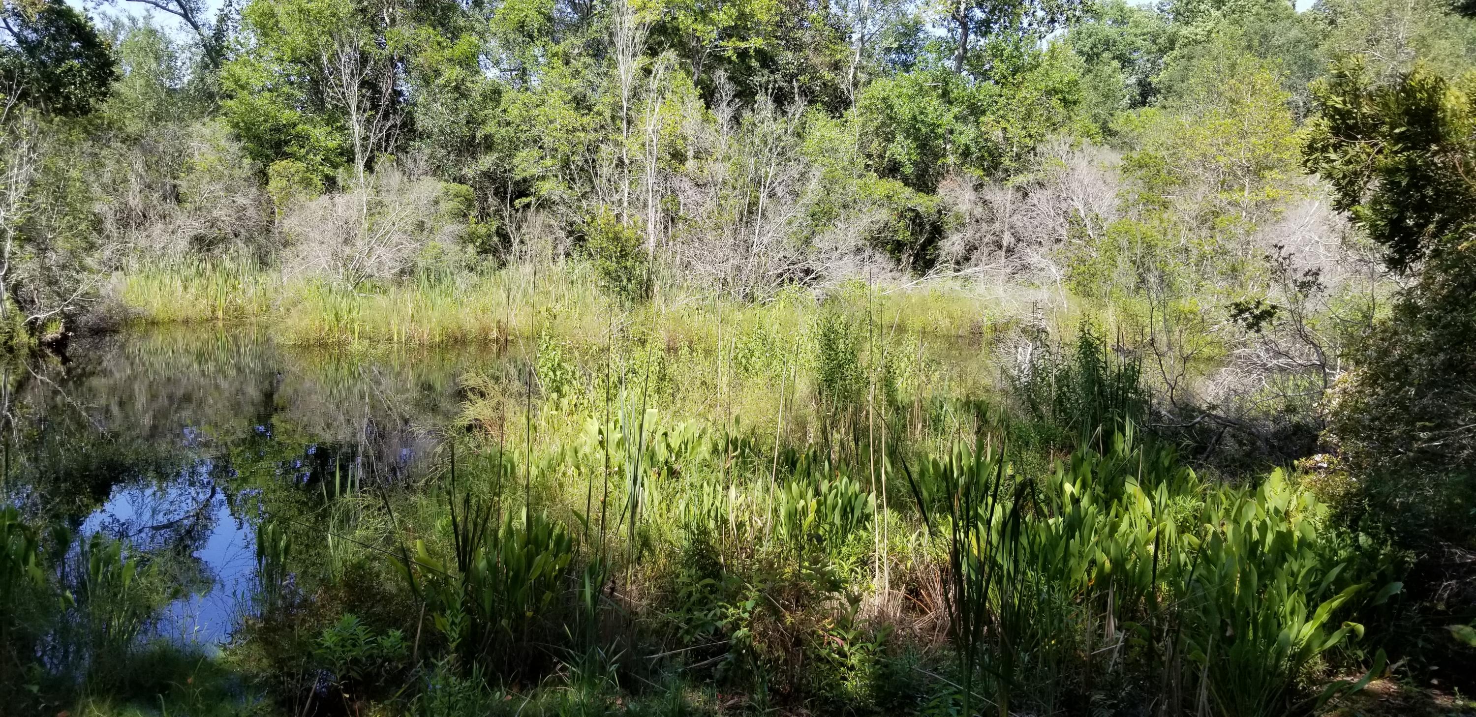 WATERVIEW COVE - Land