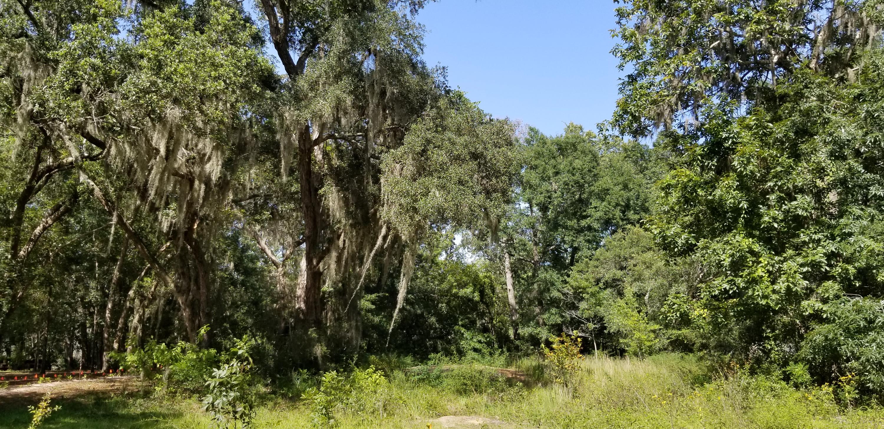 WATERVIEW COVE - Land