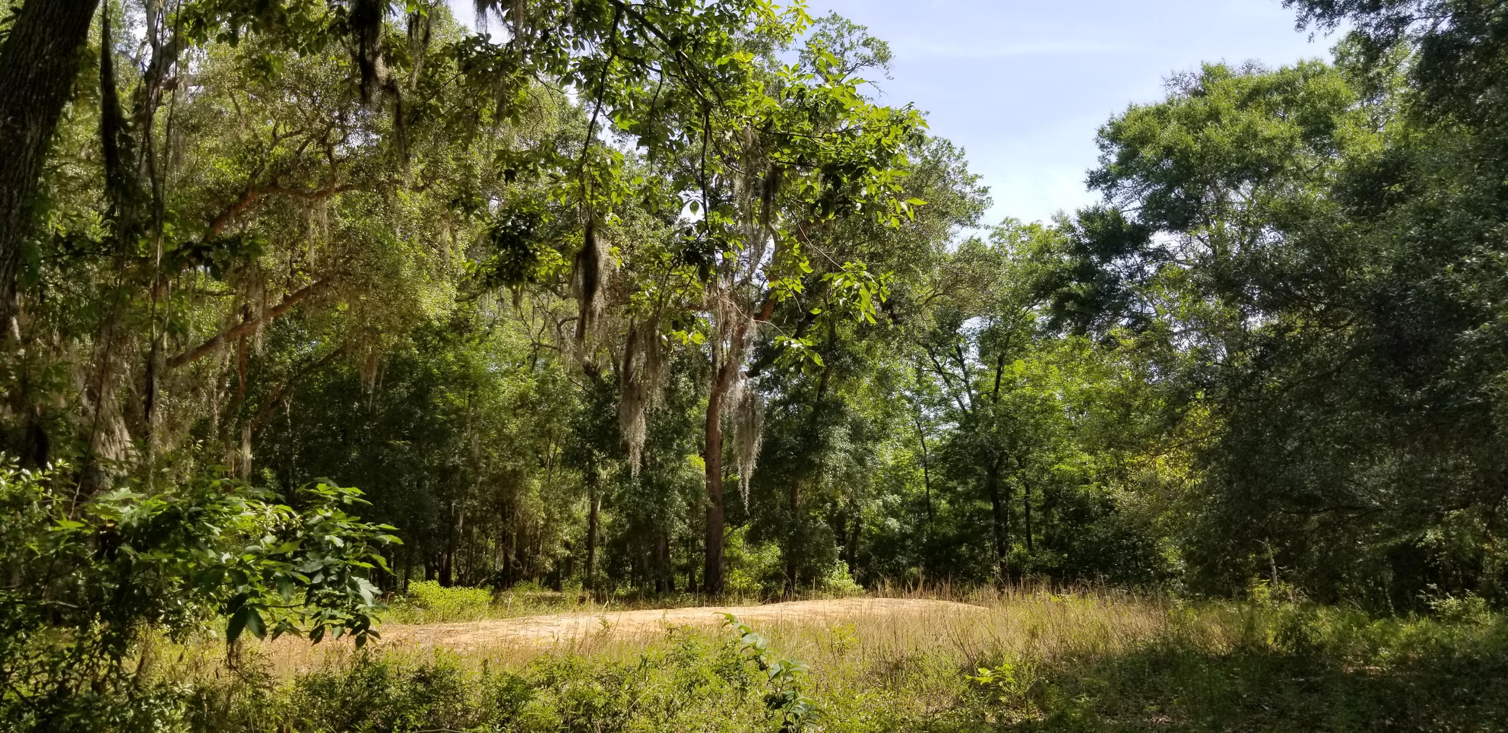 WATERVIEW COVE - Land