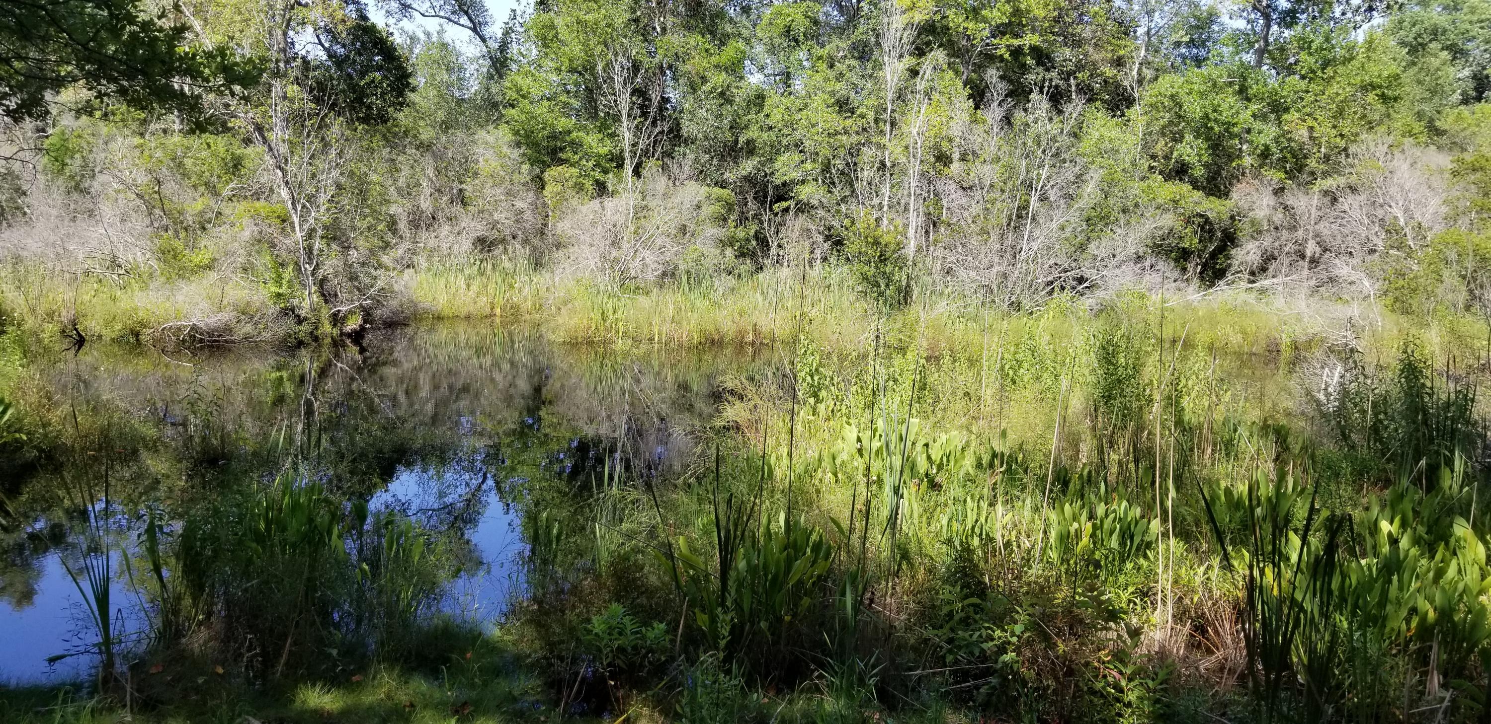 WATERVIEW COVE - Land