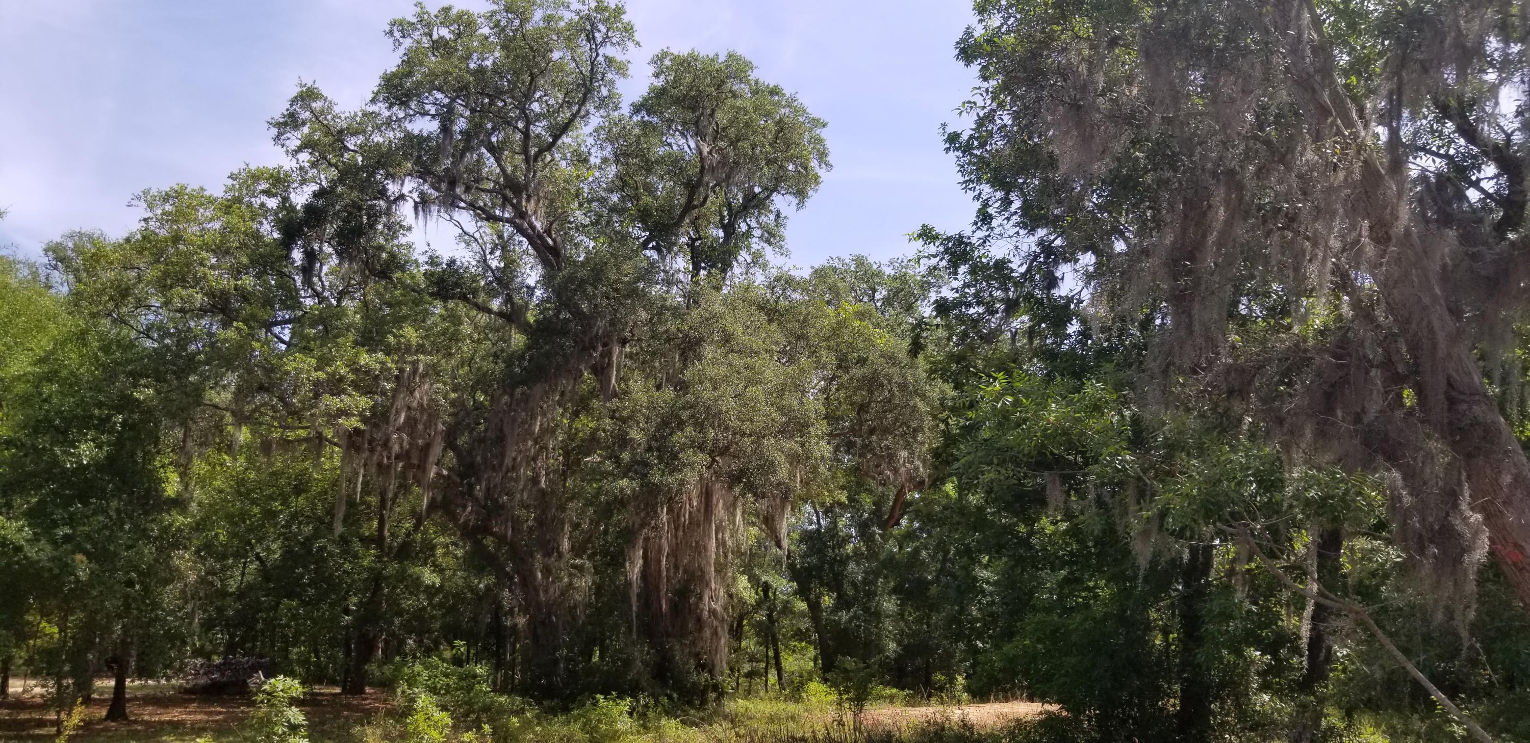 WATERVIEW COVE - Land