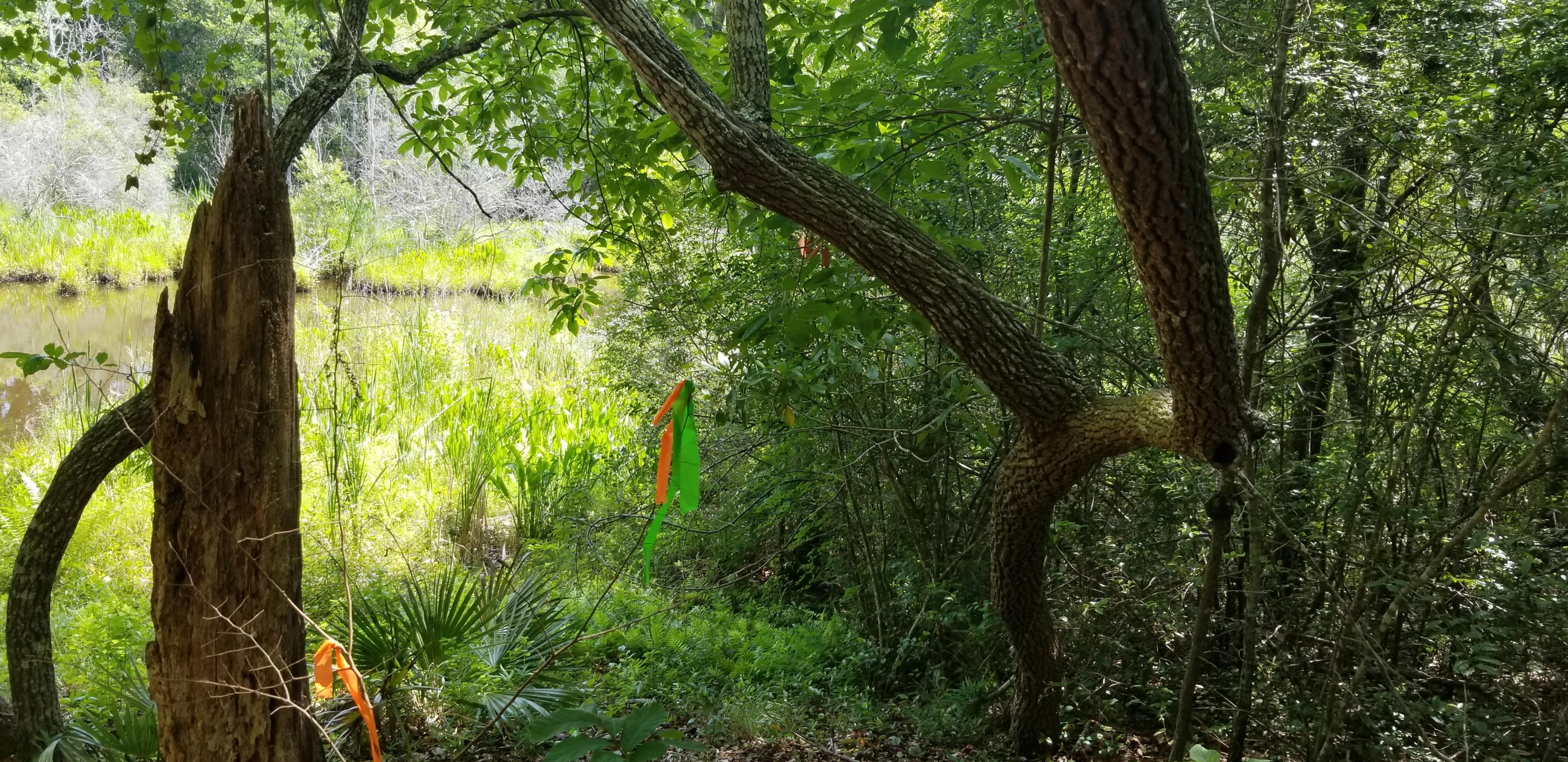 WATERVIEW COVE - Land