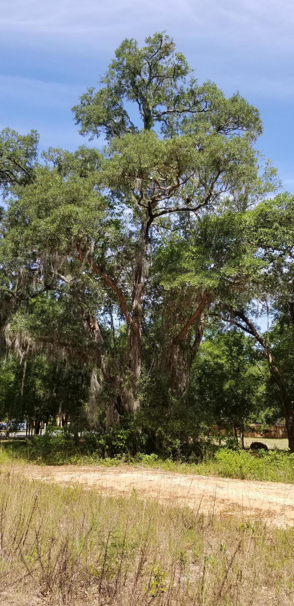 WATERVIEW COVE - Land