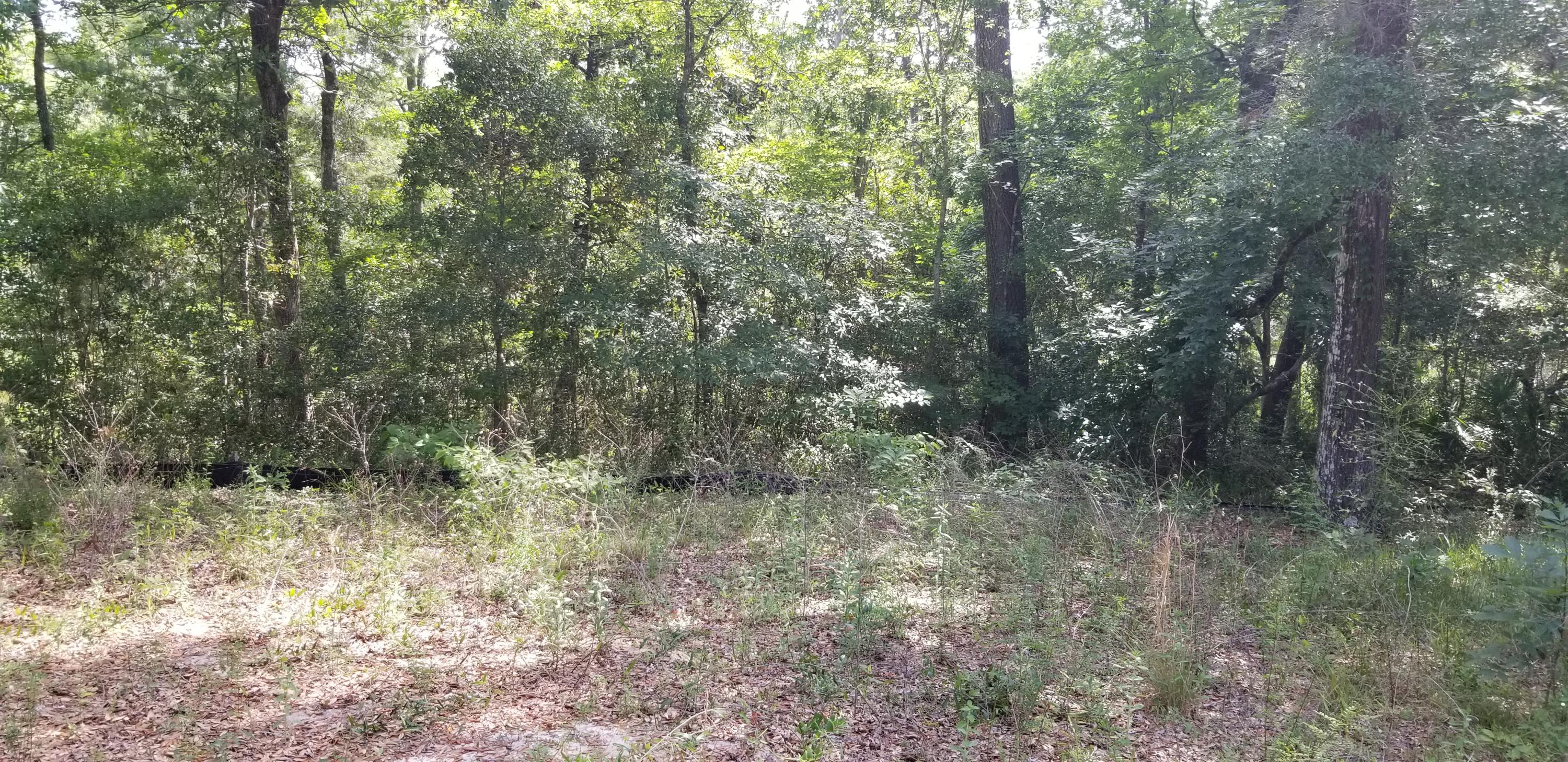 WATERVIEW COVE - Land