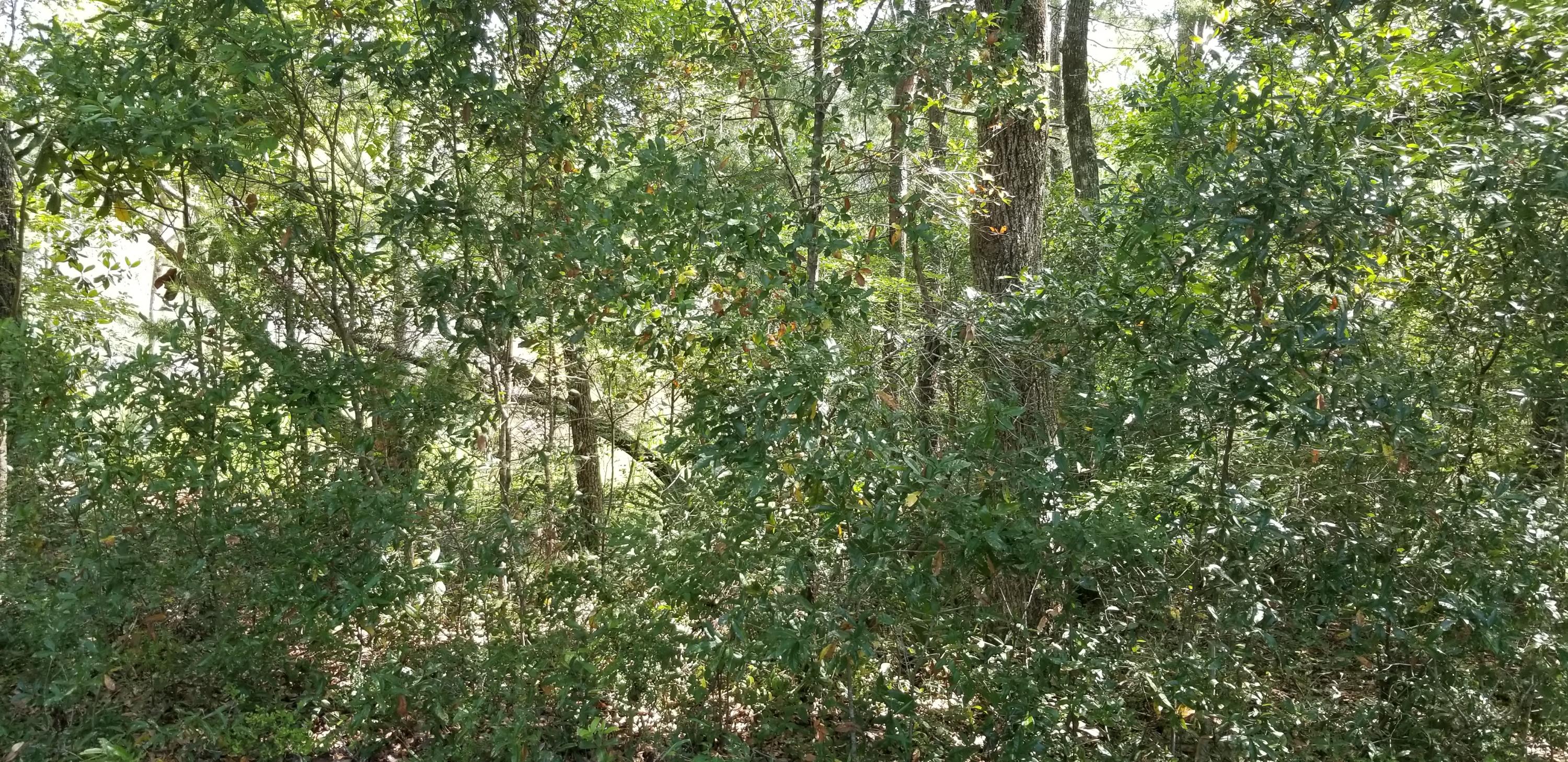 WATERVIEW COVE - Land