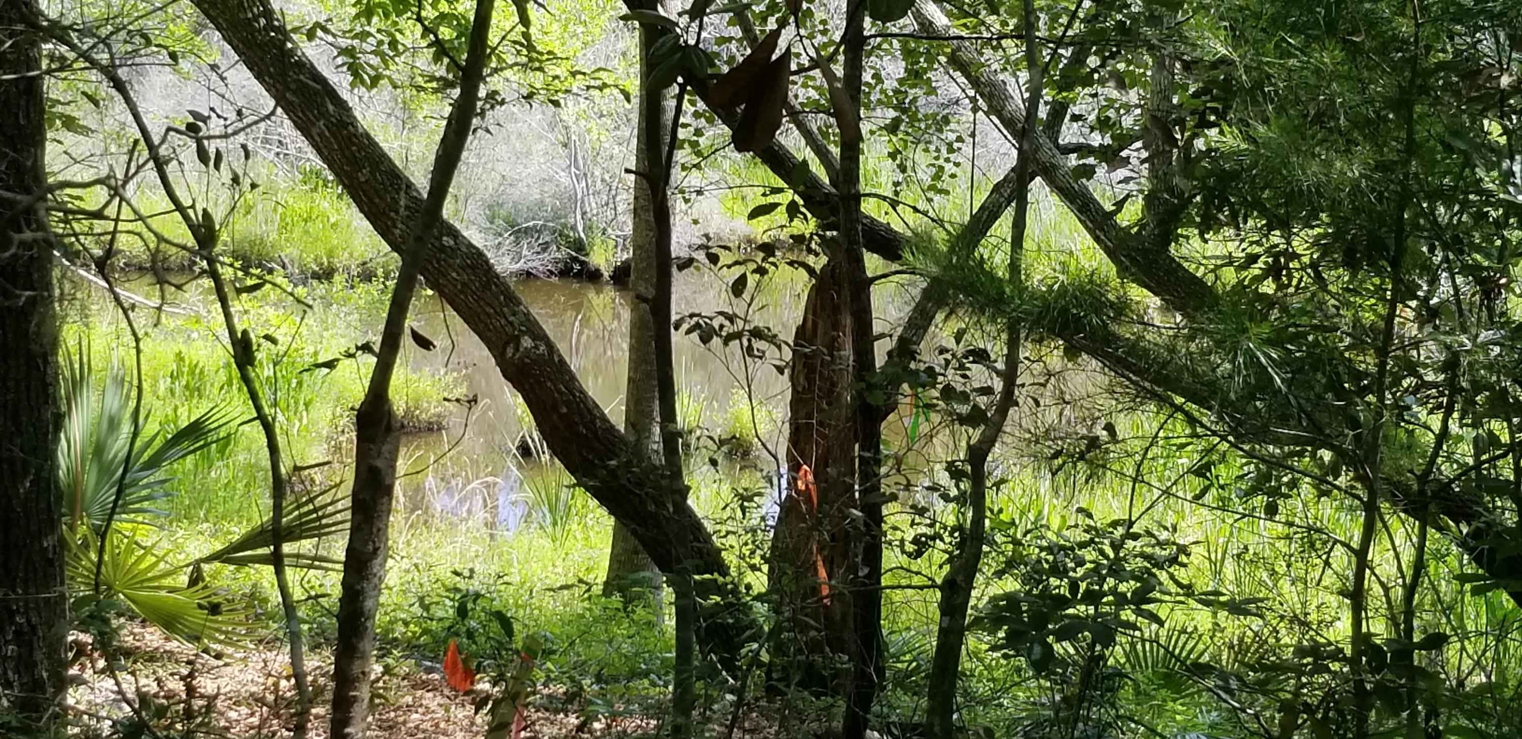WATERVIEW COVE - Land