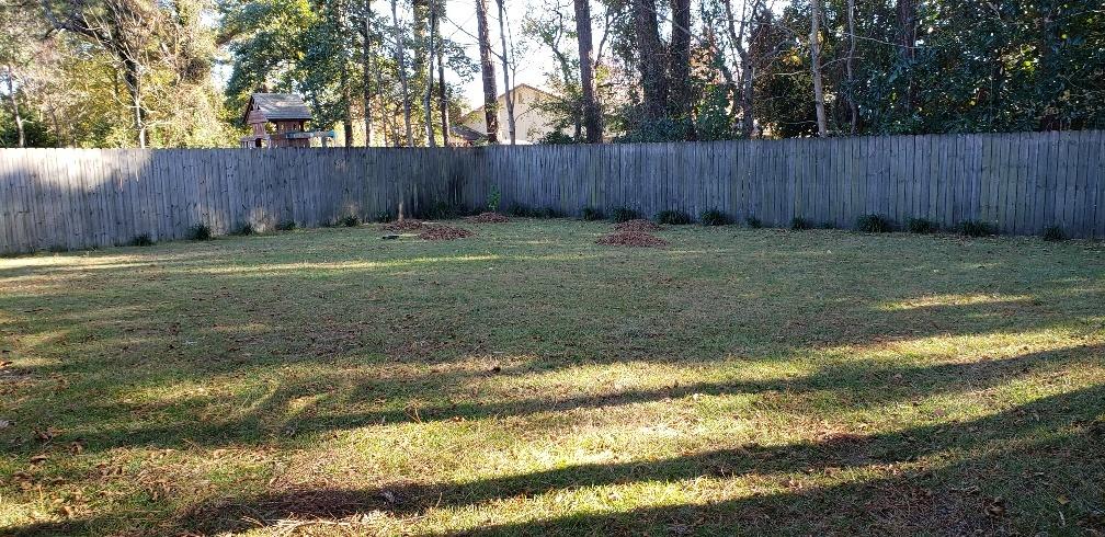 PORT DIXIE - Residential Lease