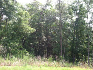 Fantastic buy on 3 contiguous lots centrally located in the City of Freeport.  This location is within walking distance to the Bayou w/ a public park and deep water boat ramp, Freeport Sports Complex, City Hall, restaurants and shopping. A total of 3 residential lots- Lots A,B,C sold together including water and sewer taps.
SURVEY IS AVAILABLE.