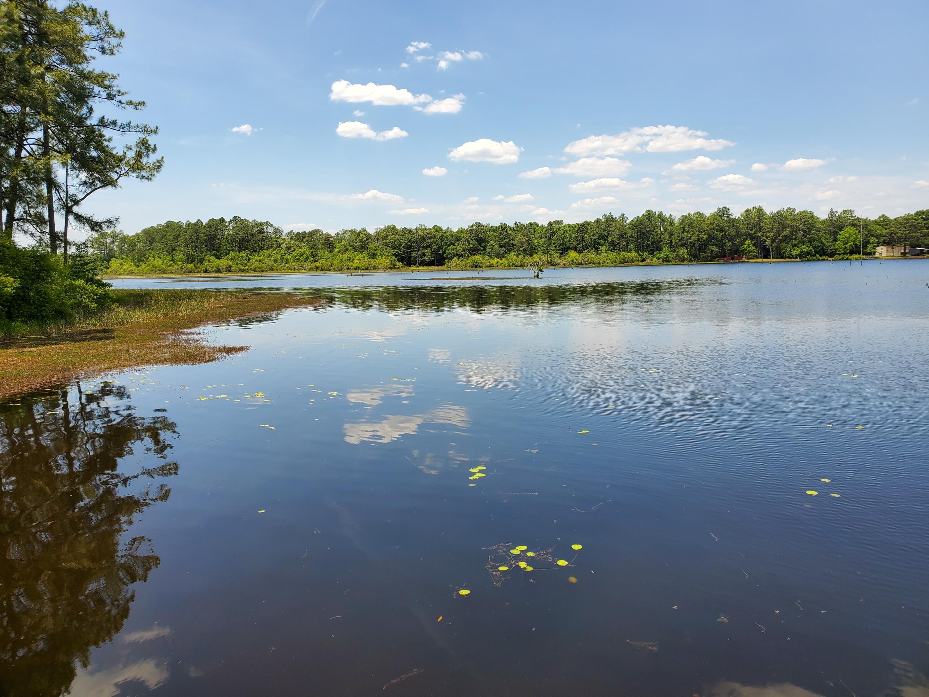 LAKE JUNIPER ESTATES UNIT 3 - Land