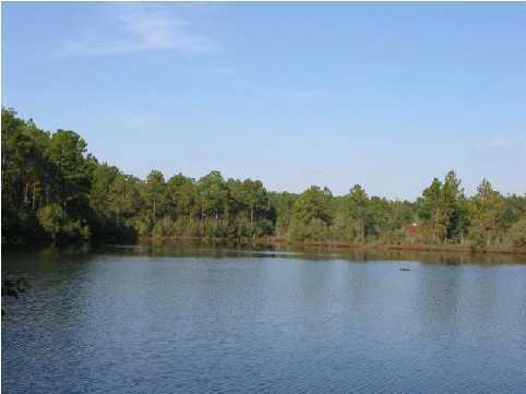 MAGNOLIA LAKE ESTATES PH 1 - Land