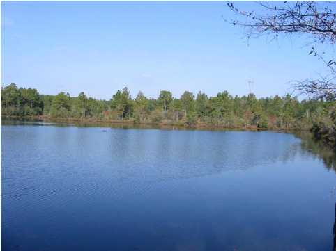 Great opportunity to get a deal on a waterfront lot in Magnolia Lake one of DeFuniak's premier subdivisions. This lot has over 250 feet of waterfront! Magnolia Lake S/D promotes a quiet, peaceful lifestyle. This waterfront retreat has little traffic and gives the property owner an opportunity to enjoy the lovely natural sourrooundings that have made Magnolia Lake subdivision one of DeFuniak's most popular places to live. All of the lakes provide excellent bass and bream fishing. The Homeowner's Association is in place to protect your investment. You are walking distance to the grade school, and the high school. Developer has 5 lots remaining. Investor packages available.