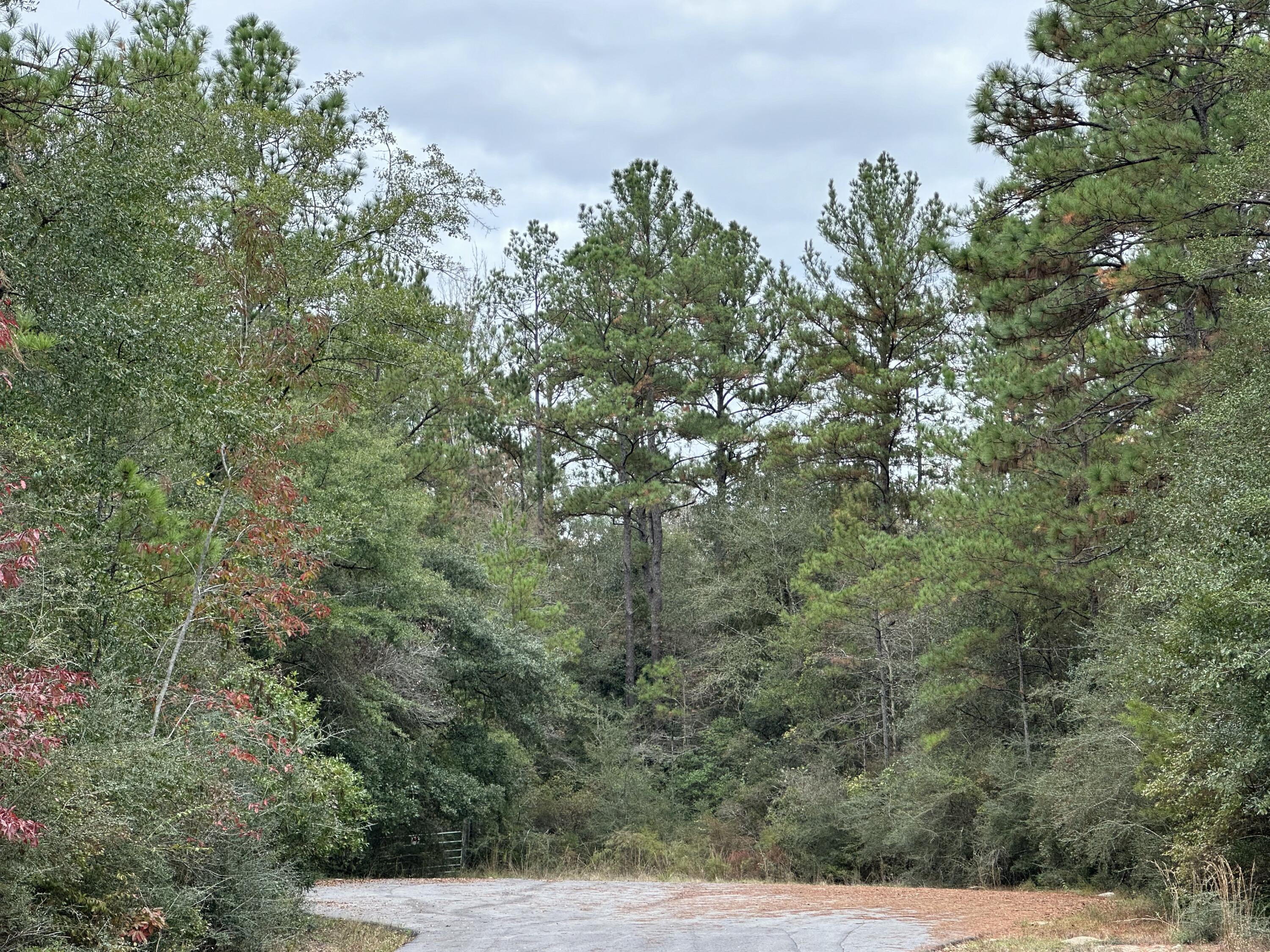 NO RECORDED SUBDIVISION - Land
