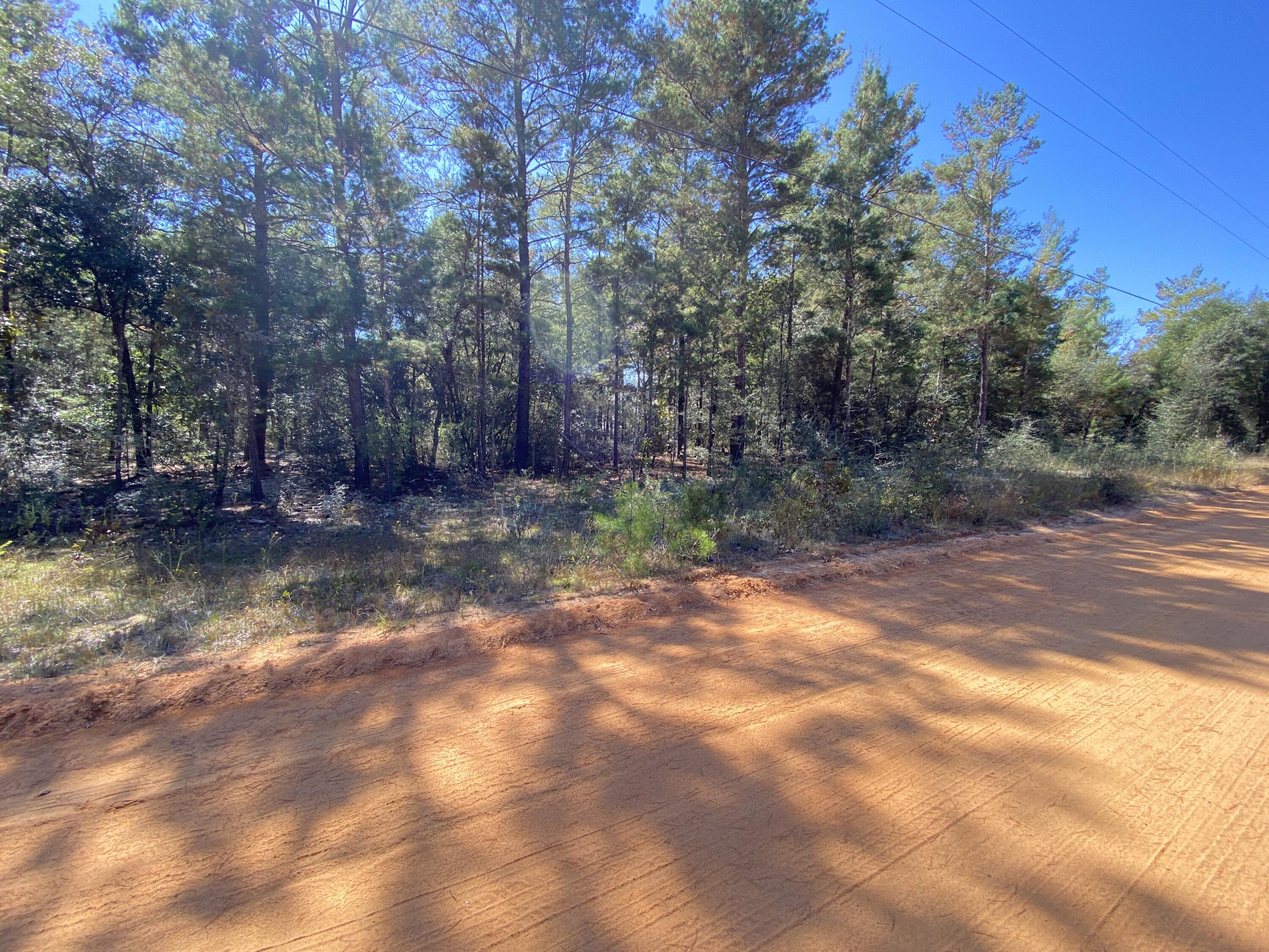 OAKWOOD HILLS - Land