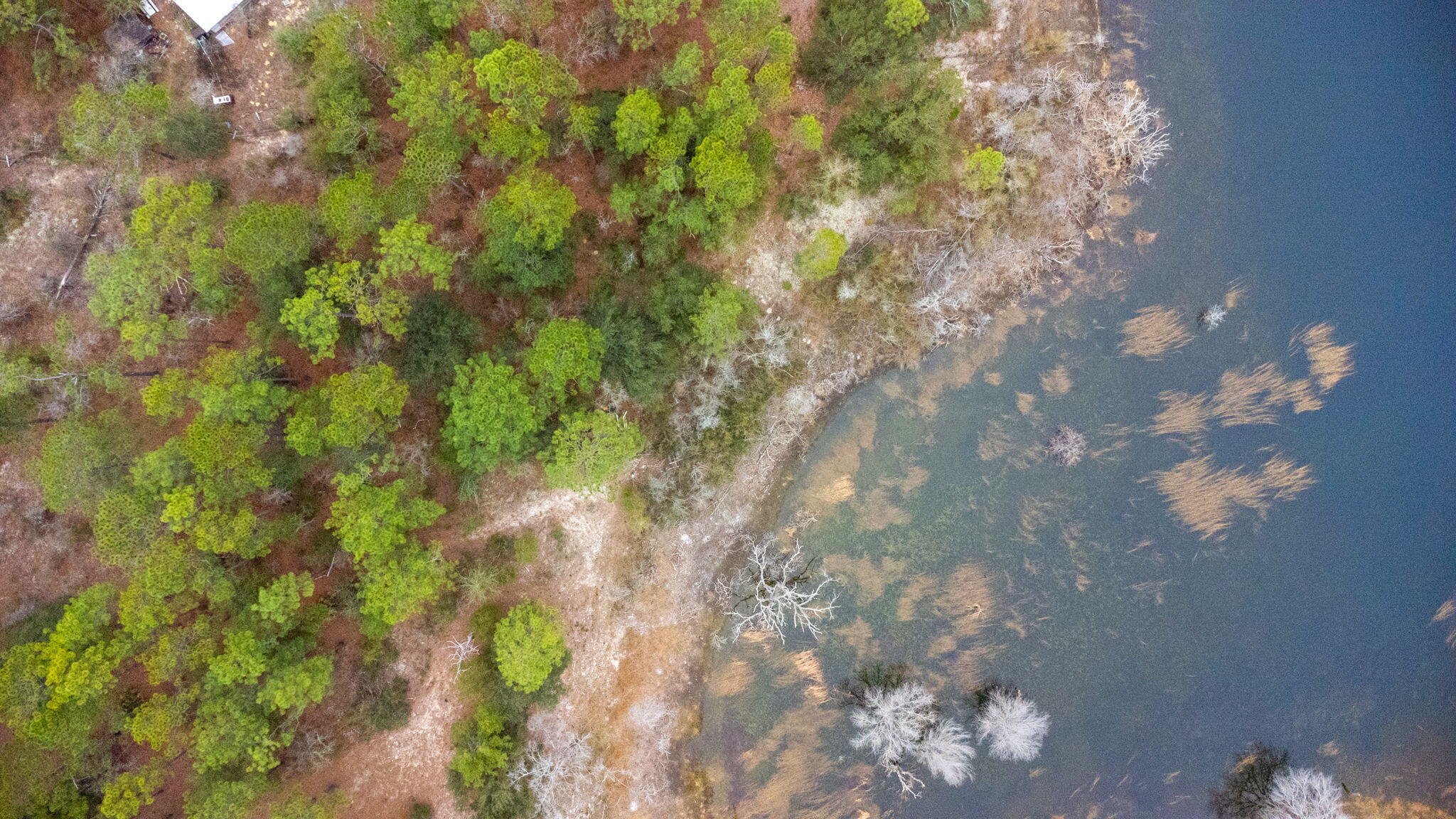 Grassy Pond Ranch - Land