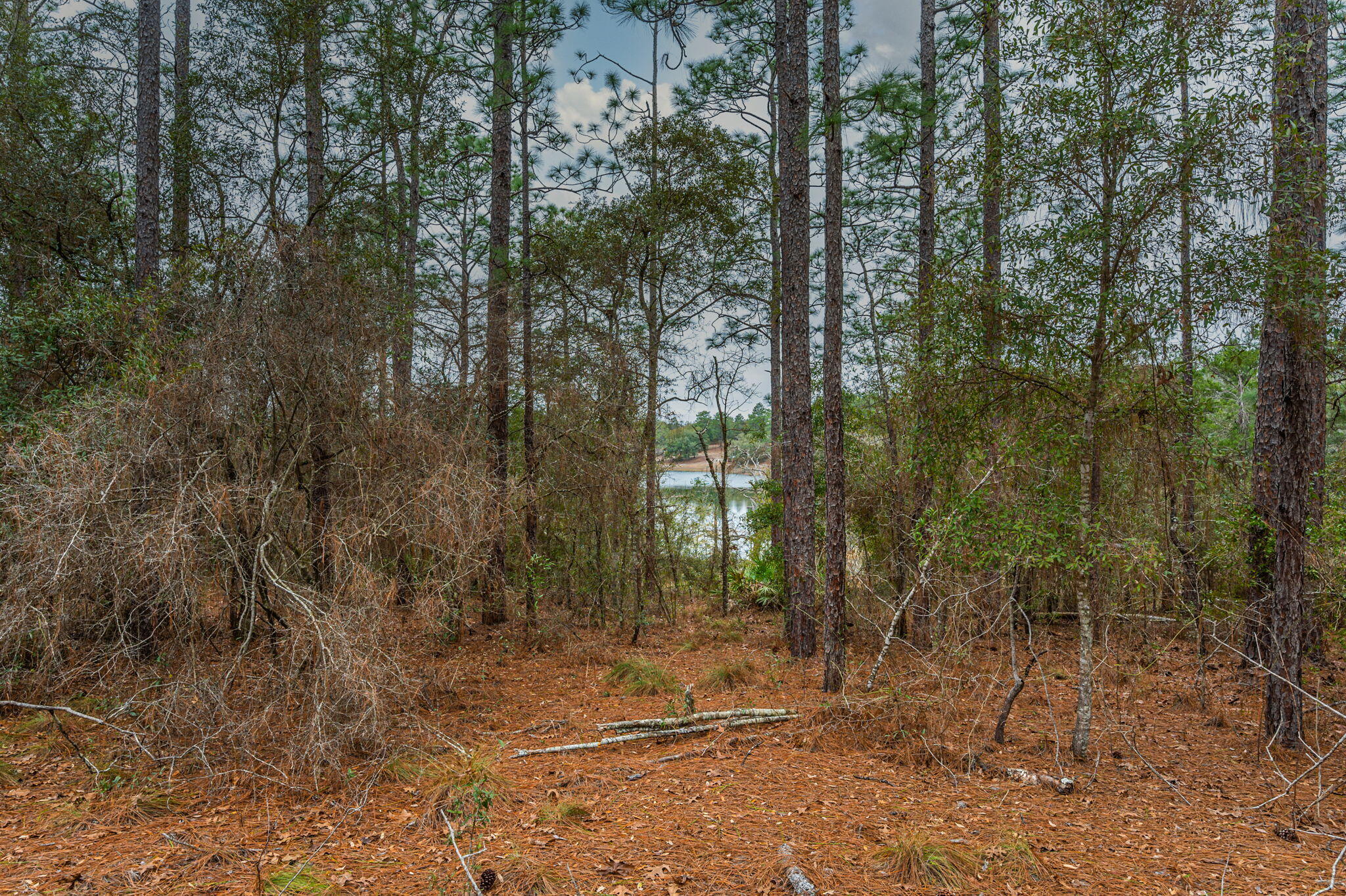 Grassy Pond Ranch - Land