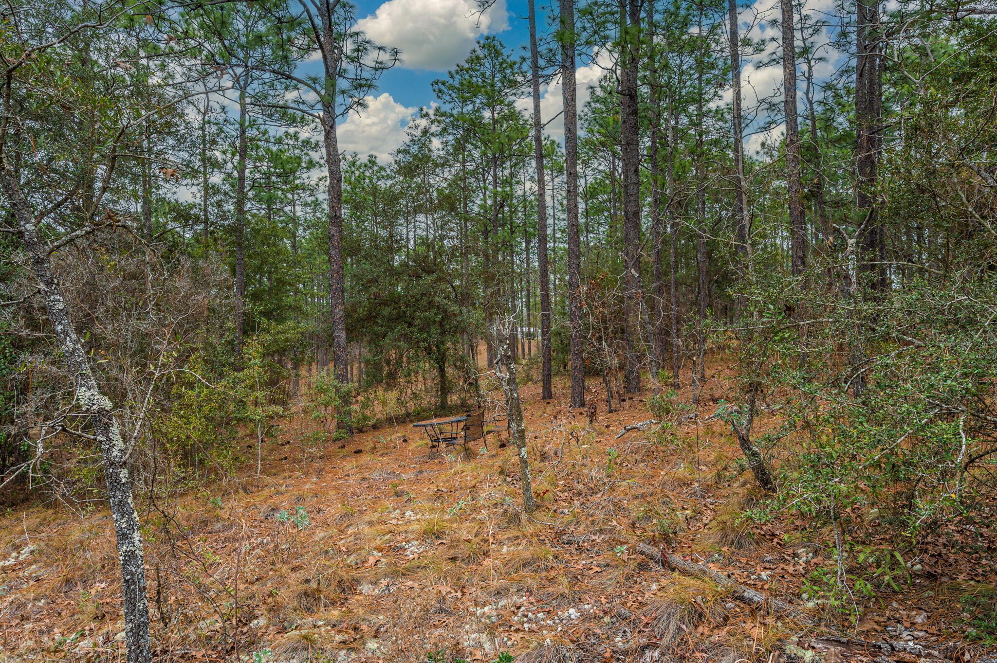 Grassy Pond Ranch - Land