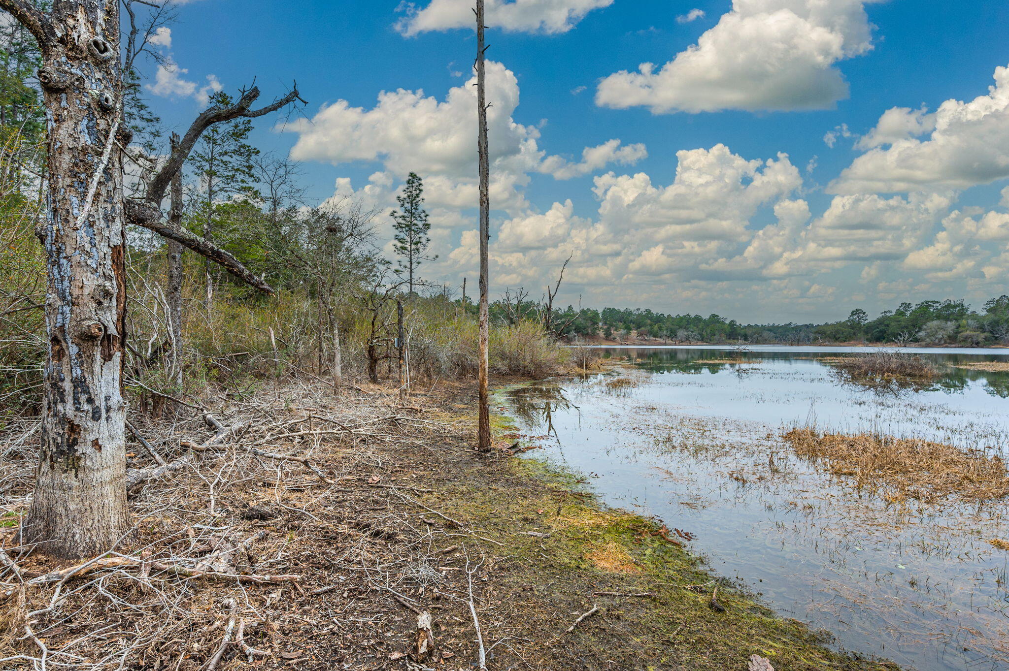 Grassy Pond Ranch - Land