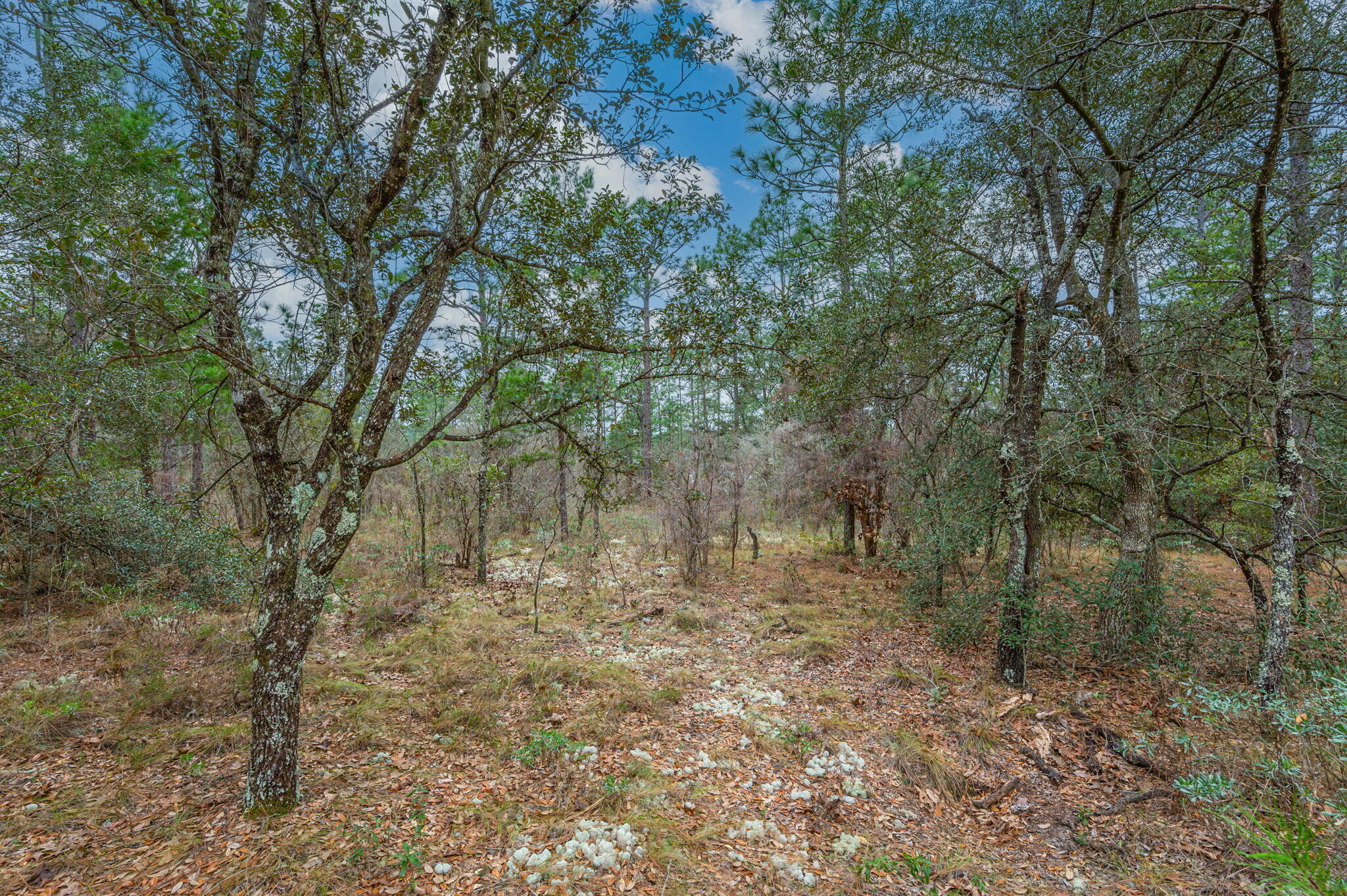 Grassy Pond Ranch - Land