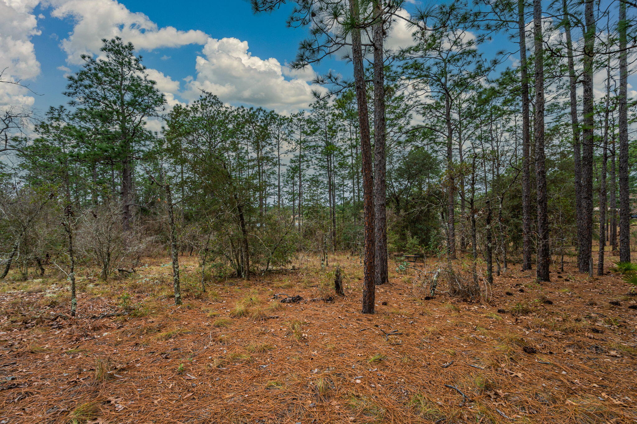 Grassy Pond Ranch - Land