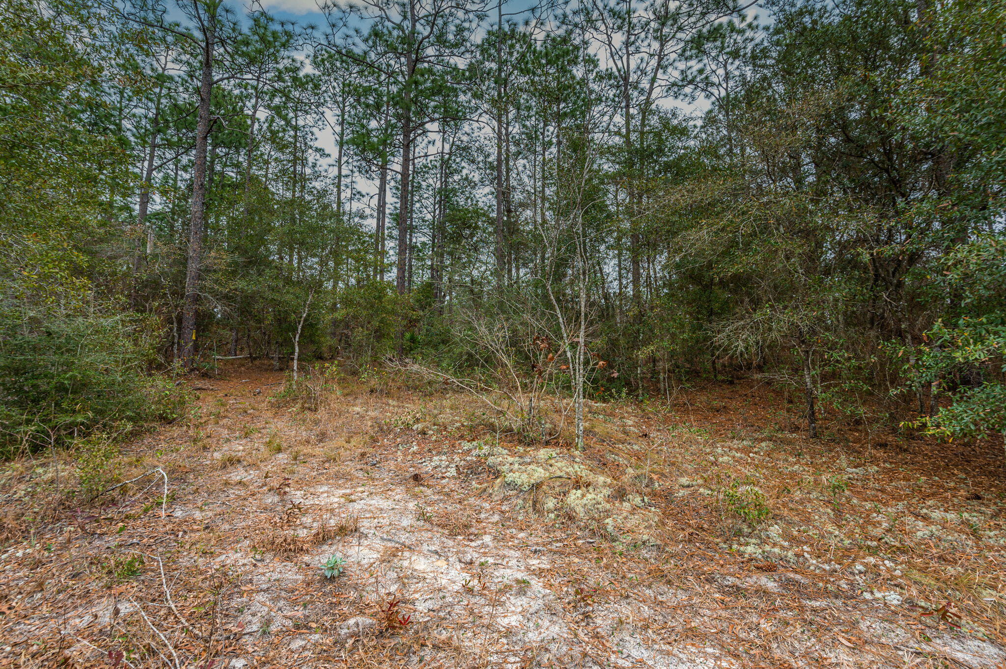 Grassy Pond Ranch - Land