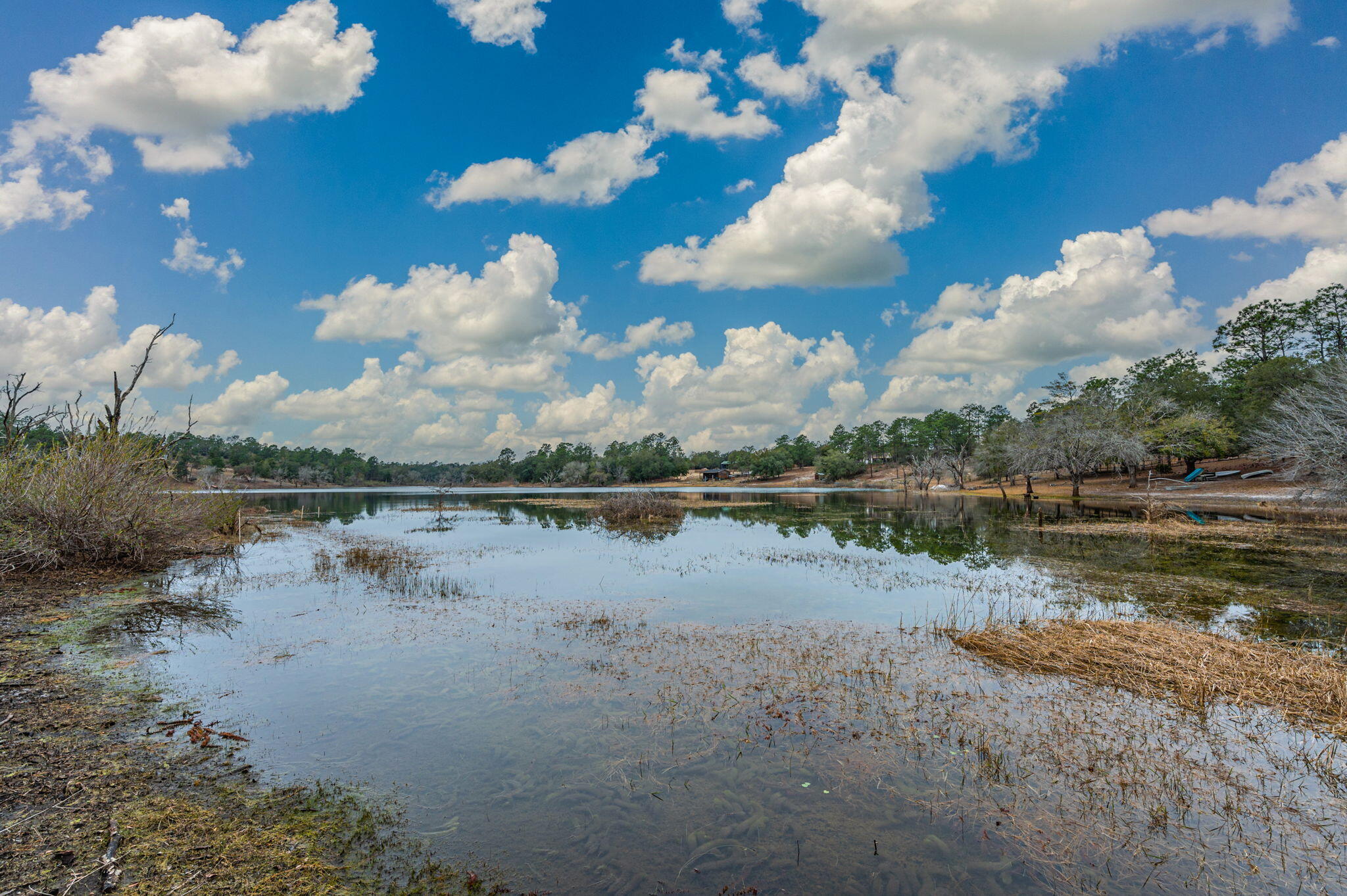 Grassy Pond Ranch - Land