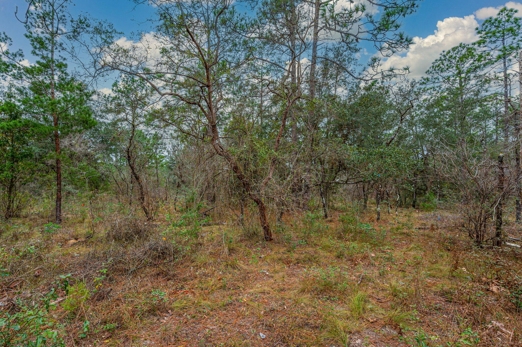 Grassy Pond Ranch - Land