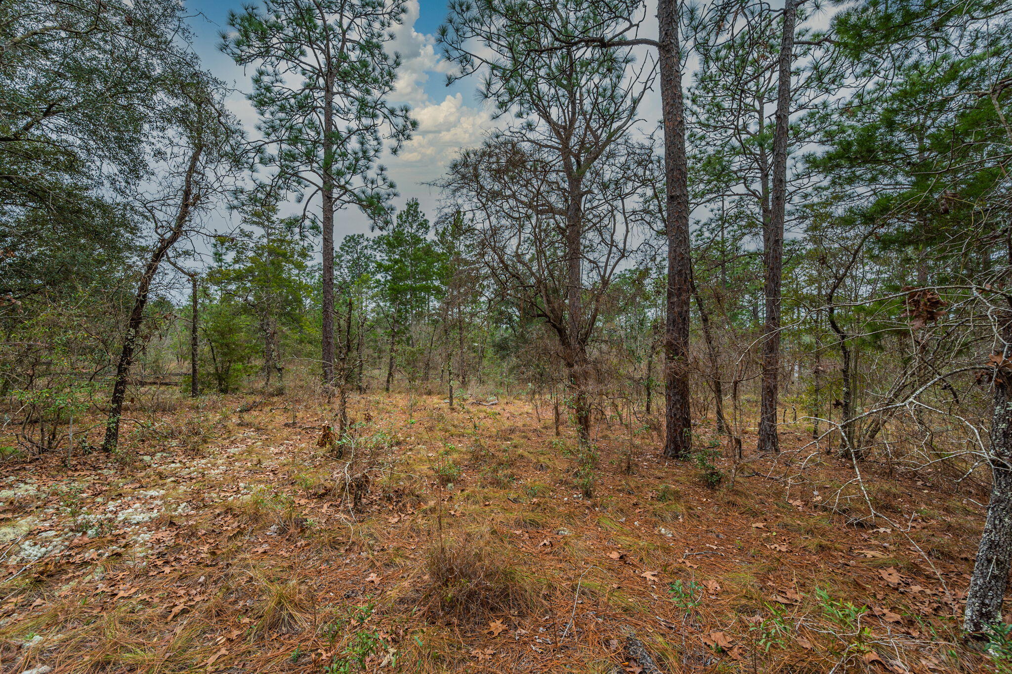 Grassy Pond Ranch - Land