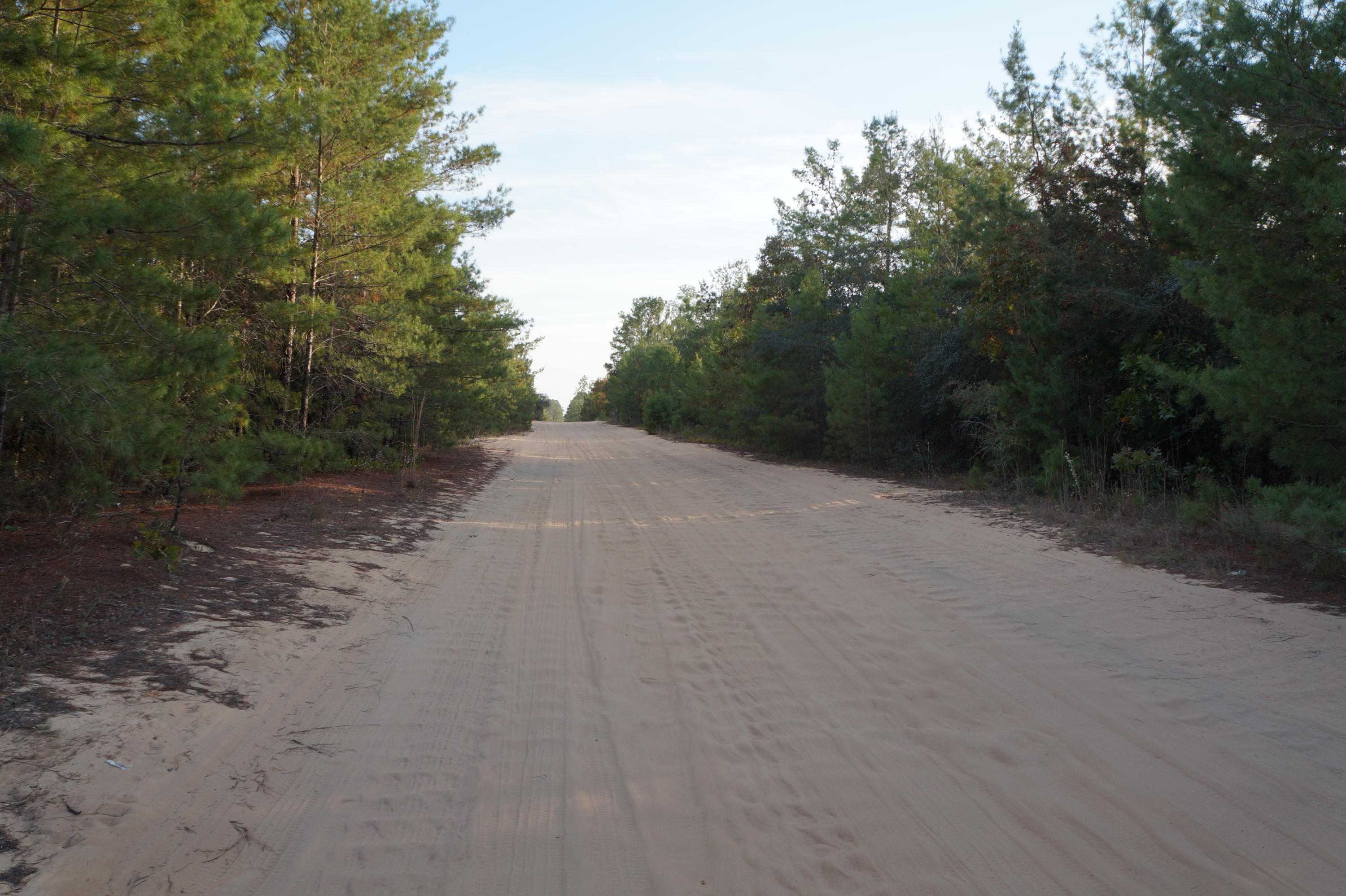 Looking for a Get-Away or to Build Your Dream Home? Look No More. 10 Acres Conveniently Located Between Crestview and Mossy Head. Just West of the Walton Co Line. Country Living Right Outside the City yet Close Enough for an Easy Commute. Make this Property Yours!
Buyer to verify all measurements.